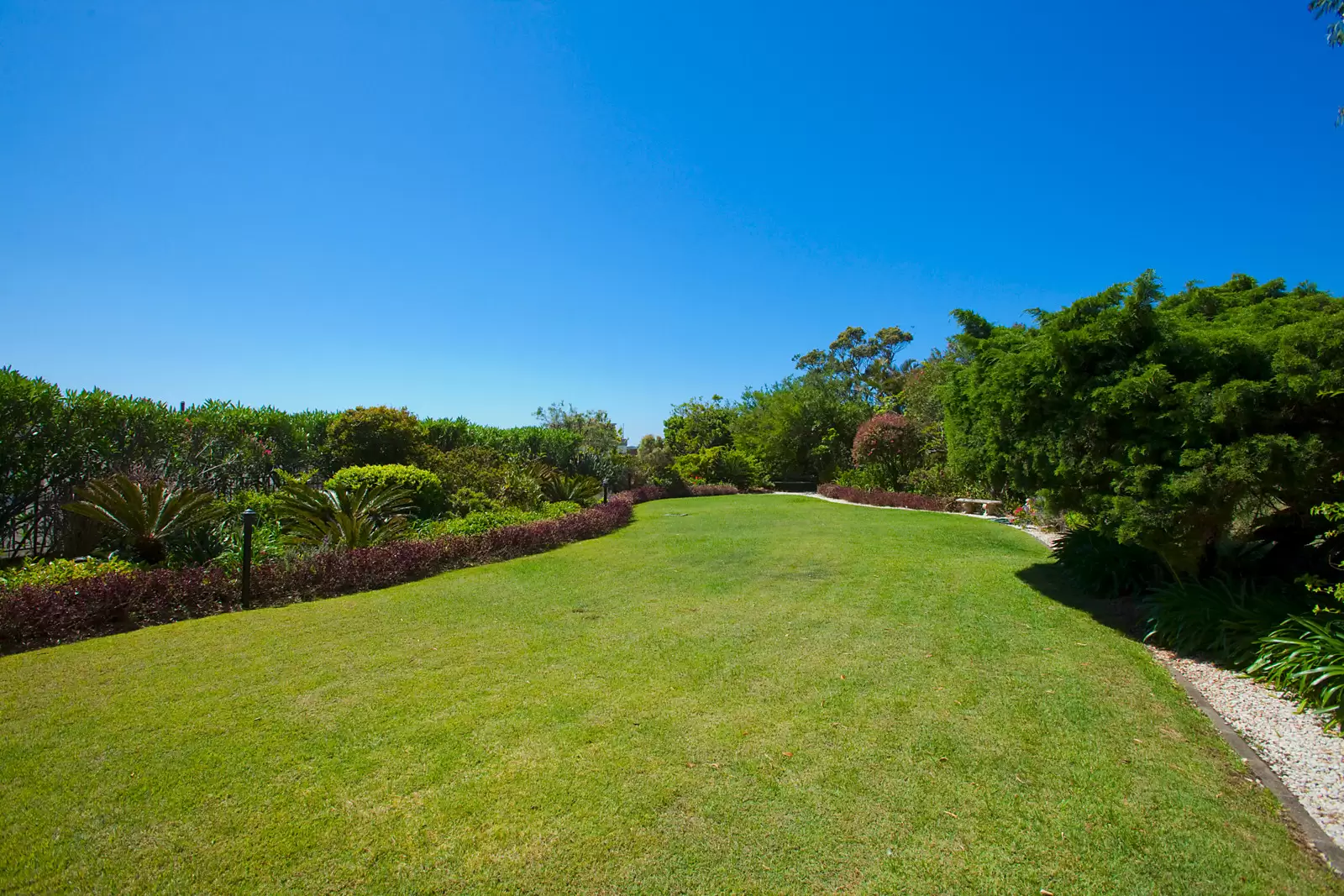 6C/13-15 Thornton Street, Darling Point Auction by Sydney Sotheby's International Realty - image 22