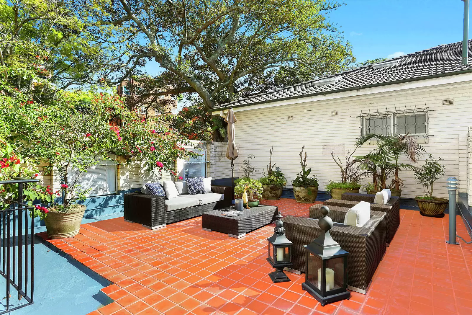 16A Ocean Avenue, Double Bay For Lease by Sydney Sotheby's International Realty - image 11