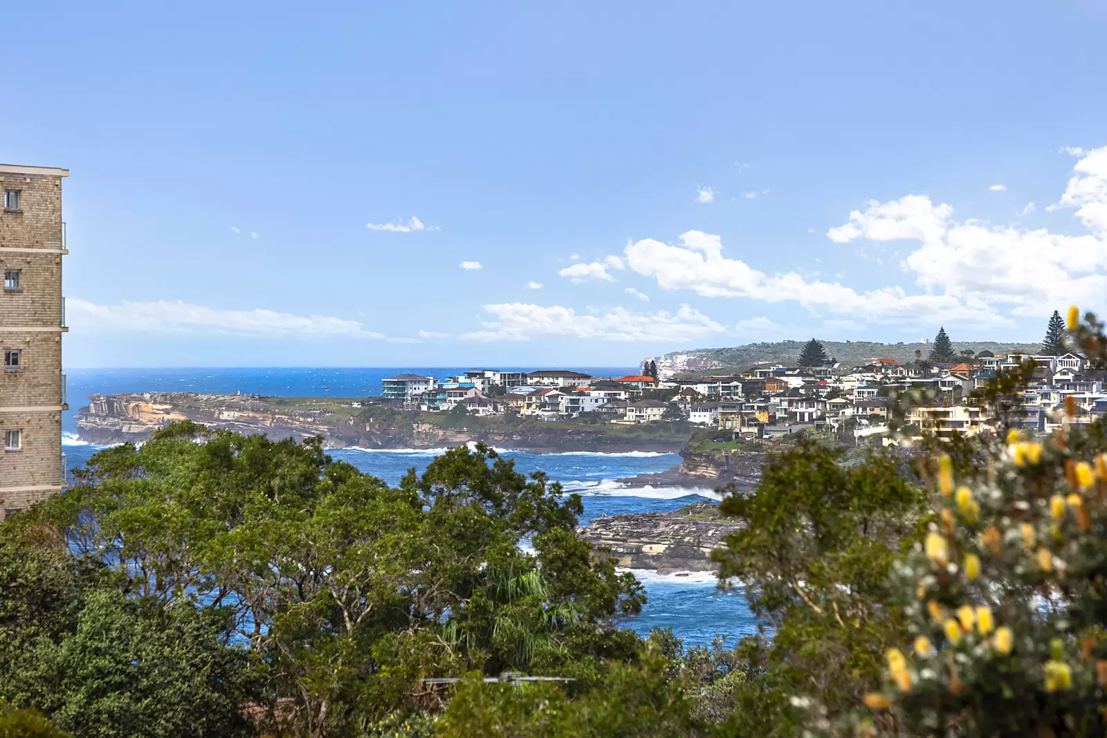2 Moore Street, Coogee Auction by Sydney Sotheby's International Realty - image 5