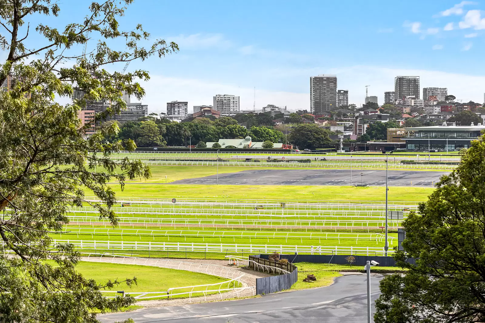 3 Wansey Road, Randwick Auction by Sydney Sotheby's International Realty - image 3