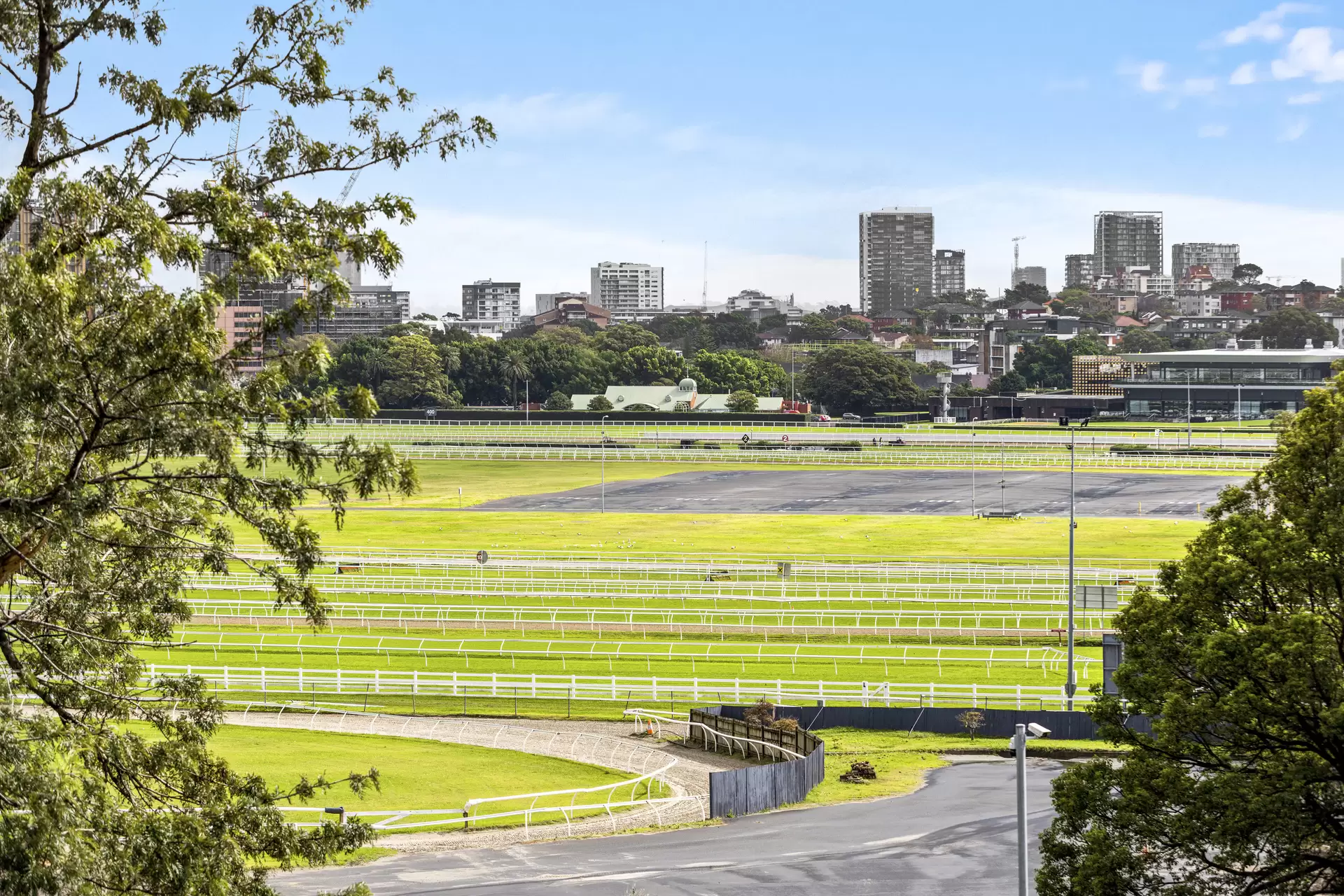 3 Wansey Road, Randwick Auction by Sydney Sotheby's International Realty - image 3