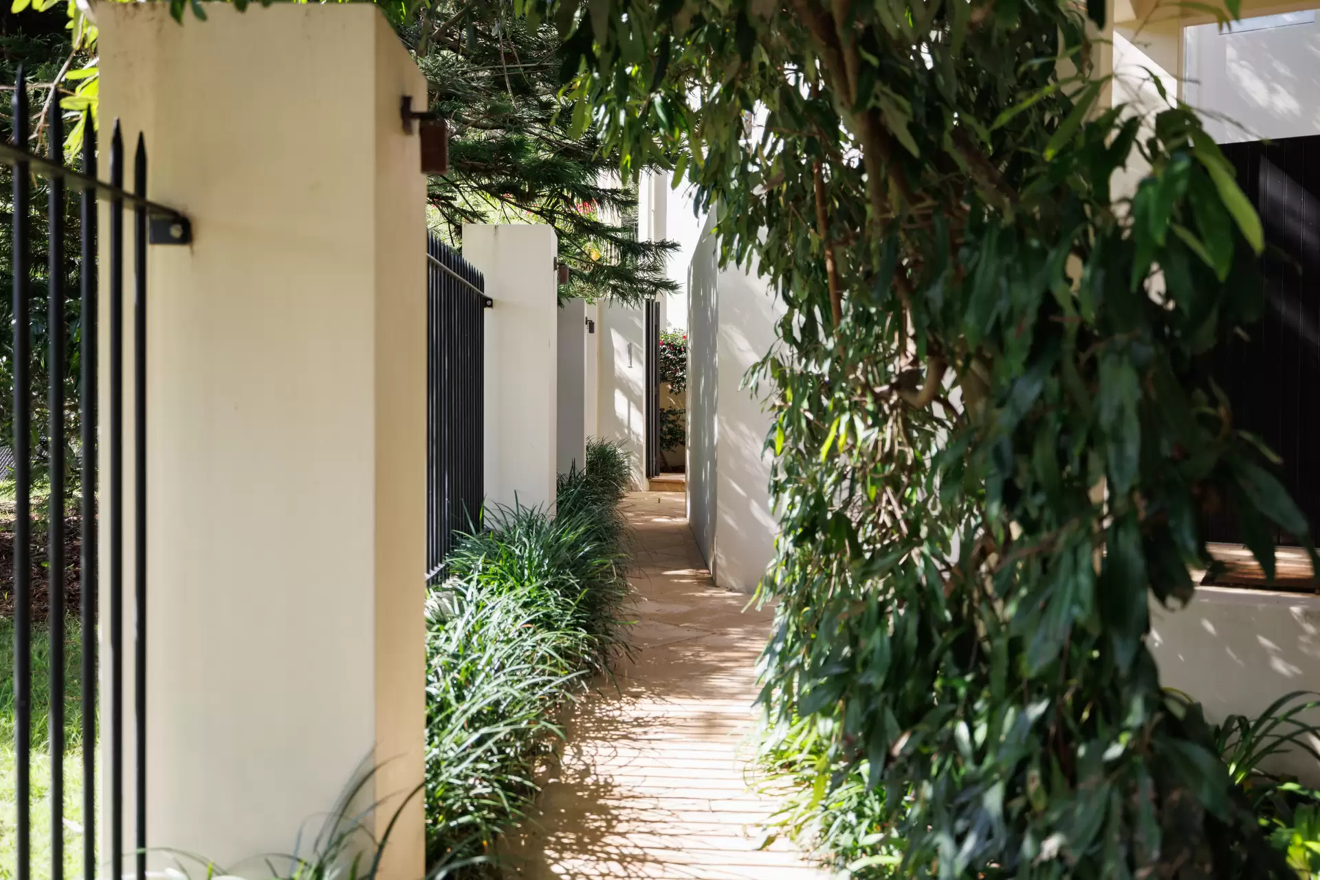 1 Roylston Street, Paddington Auction by Sydney Sotheby's International Realty - image 1