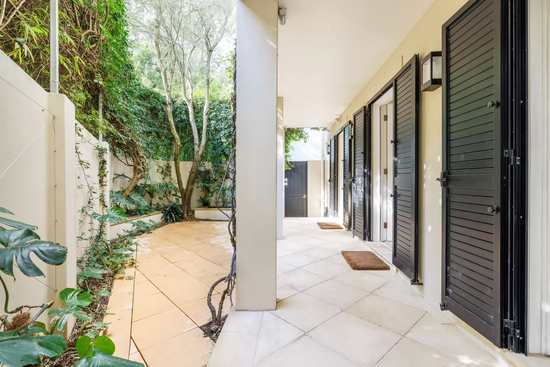 1 Roylston Street, Paddington Auction by Sydney Sotheby's International Realty - image 1