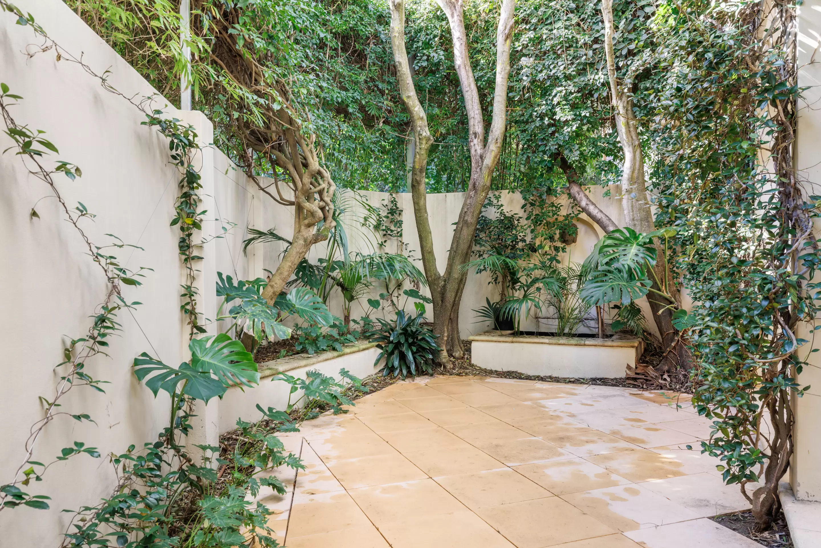 1 Roylston Street, Paddington Auction by Sydney Sotheby's International Realty - image 23