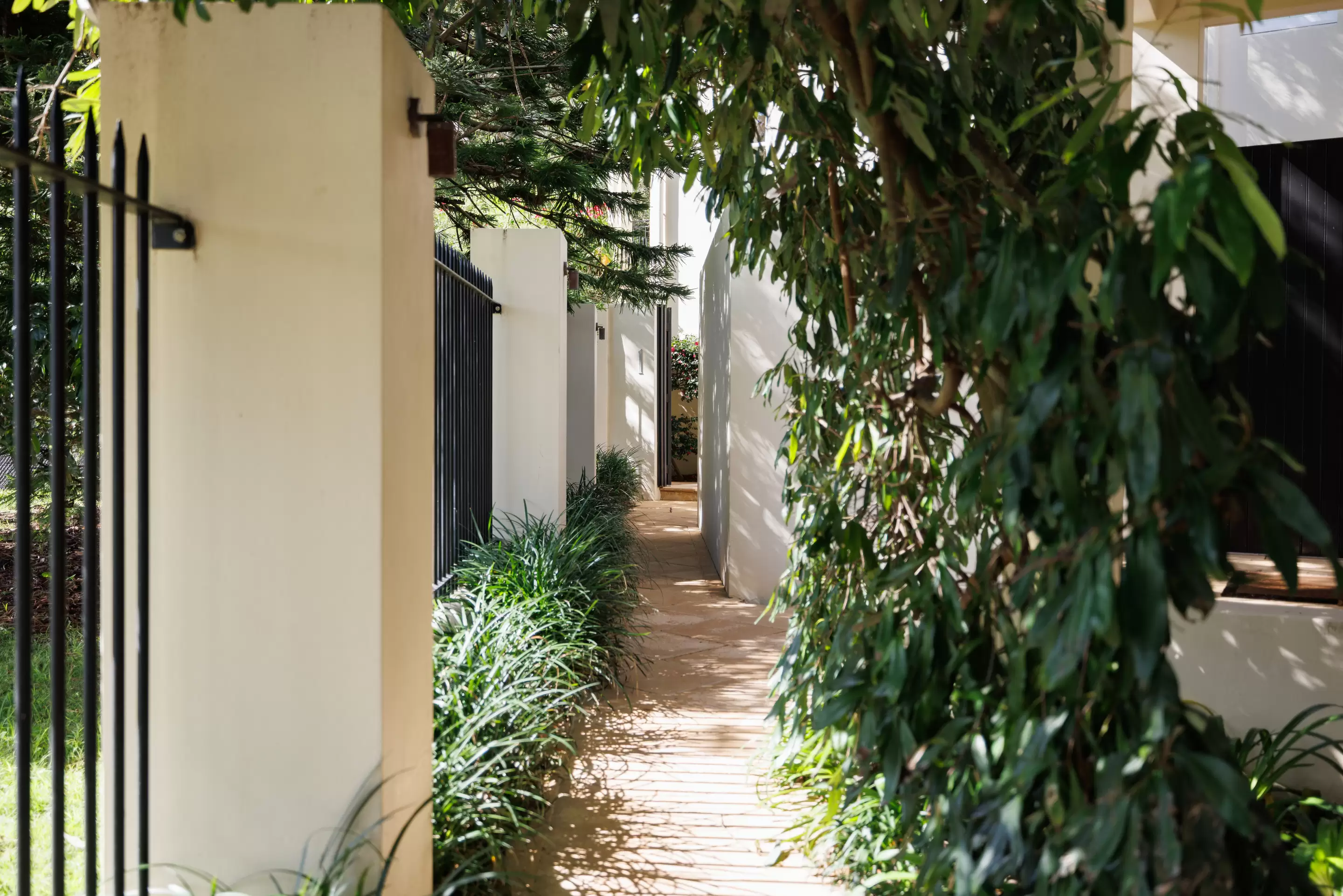 1 Roylston Street, Paddington Auction by Sydney Sotheby's International Realty - image 26