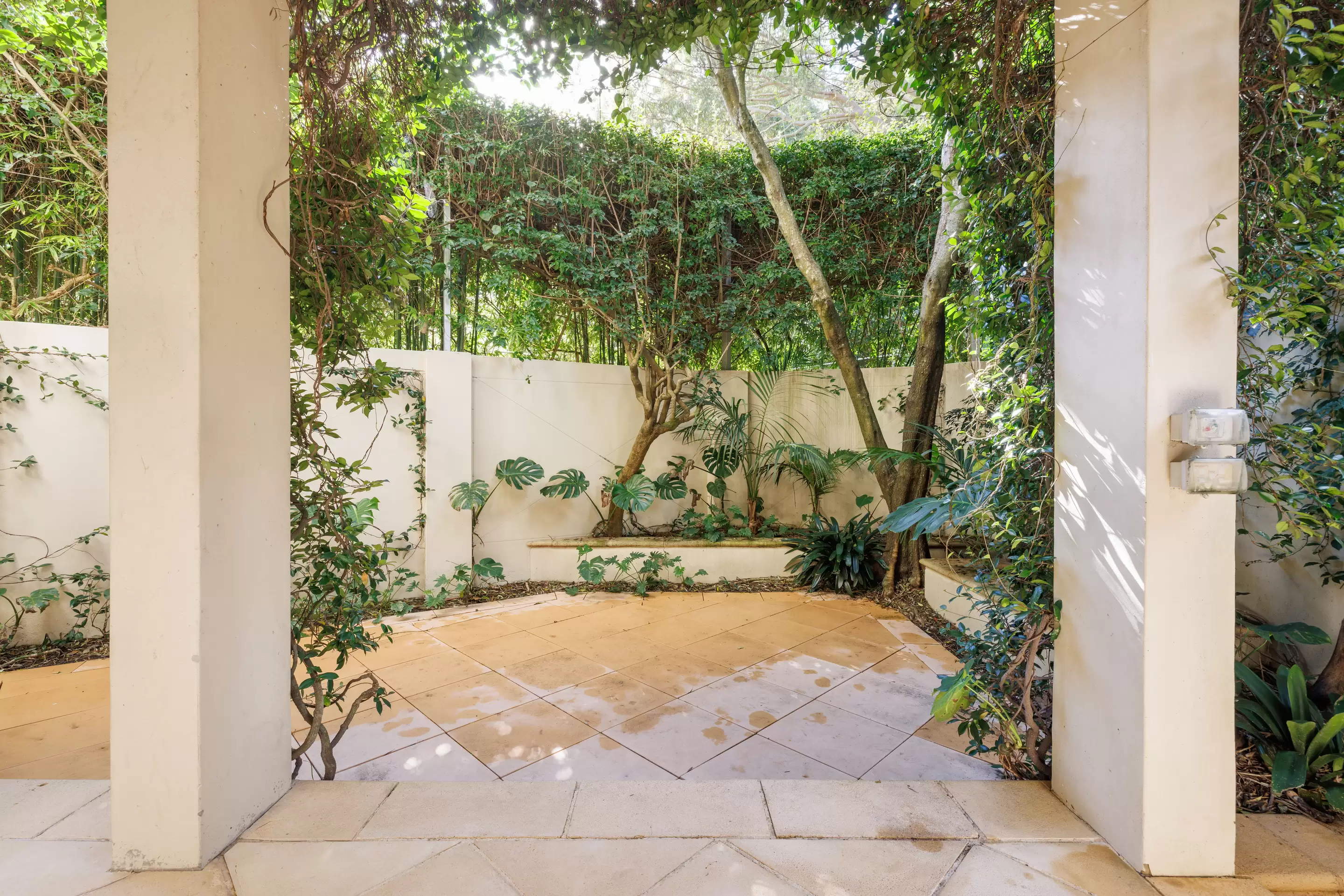 1 Roylston Street, Paddington Auction by Sydney Sotheby's International Realty - image 24