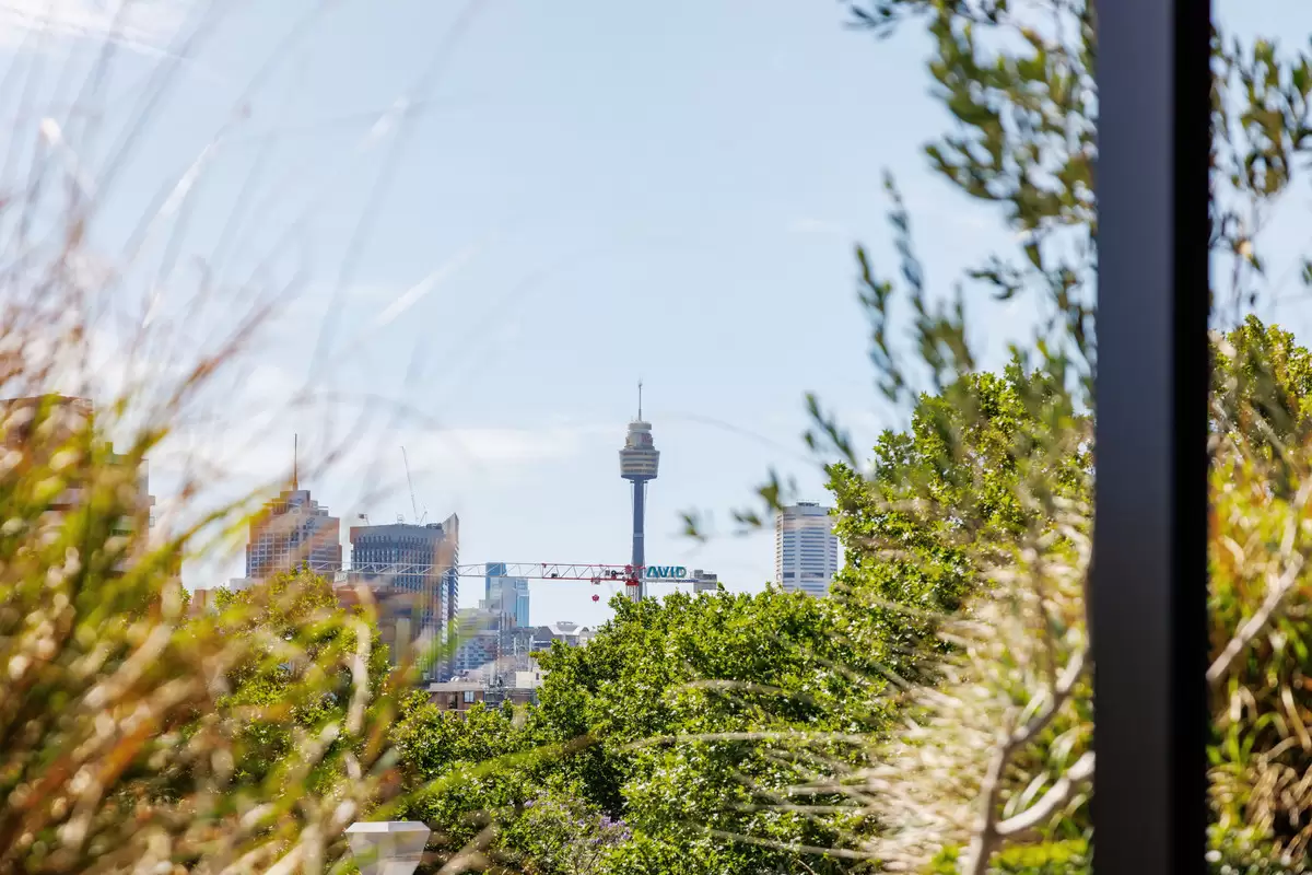 2 Church Street, Paddington Auction by Sydney Sotheby's International Realty - image 13