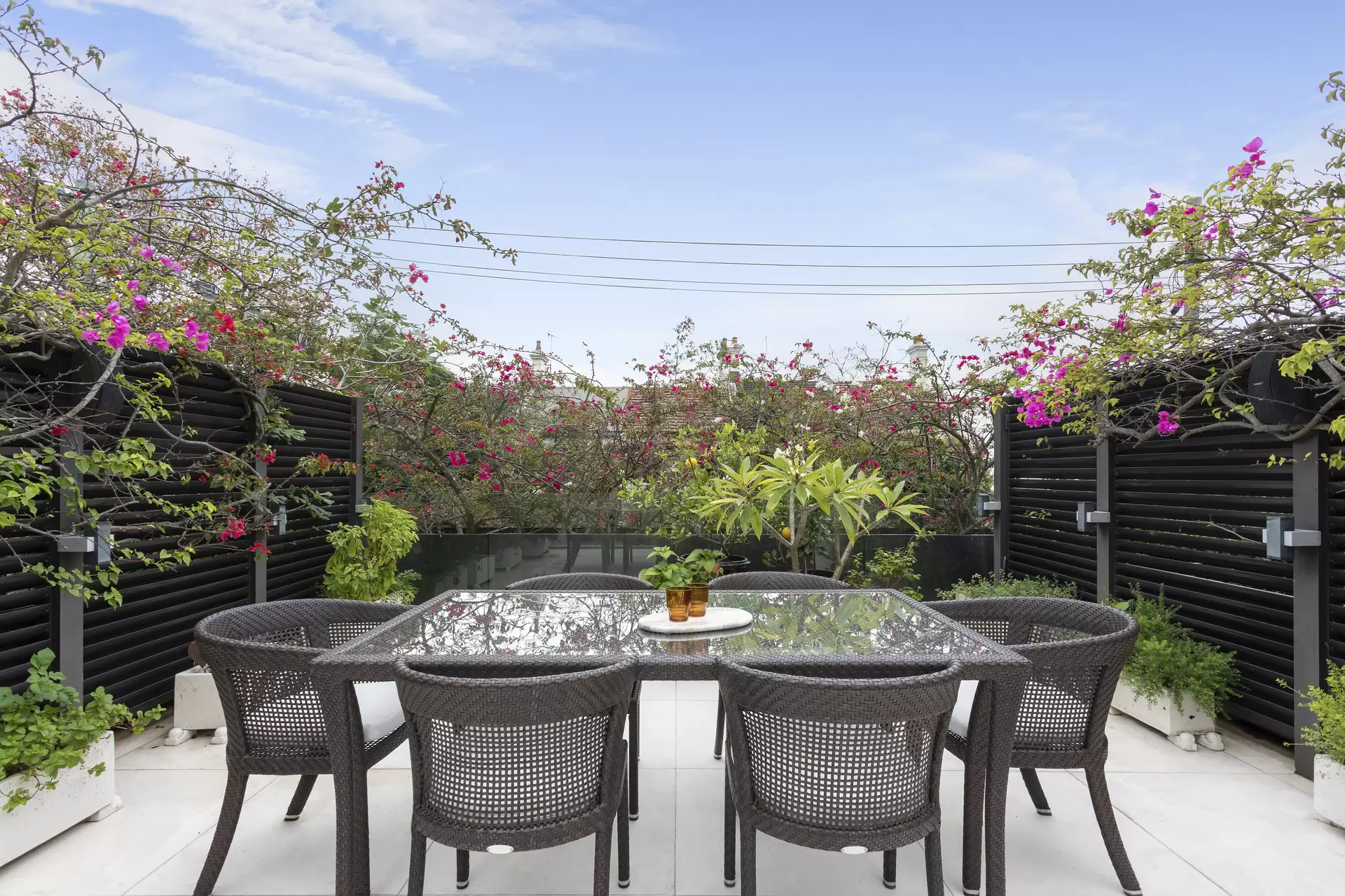 112 Glenmore Road, Paddington Auction by Sydney Sotheby's International Realty - image 1