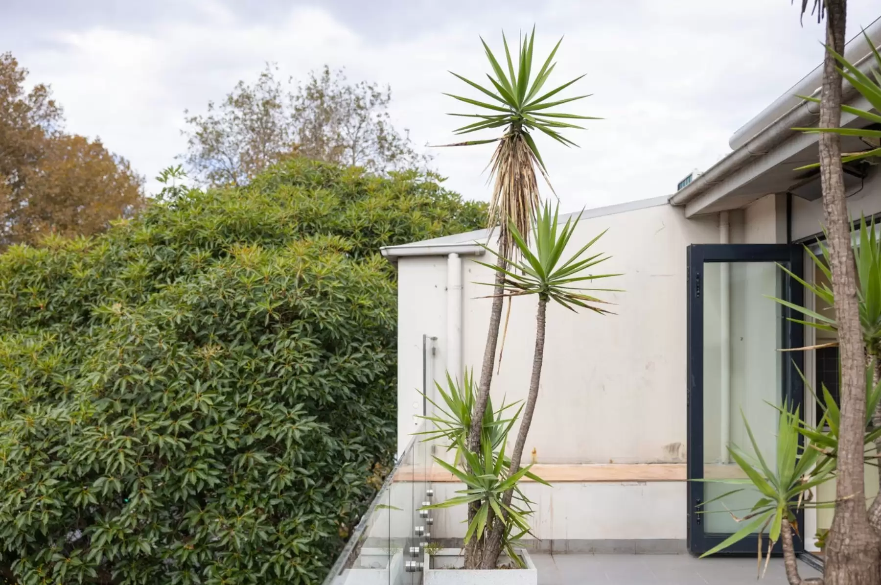10/265 Crown Street, Surry Hills Sold by Sydney Sotheby's International Realty - image 5