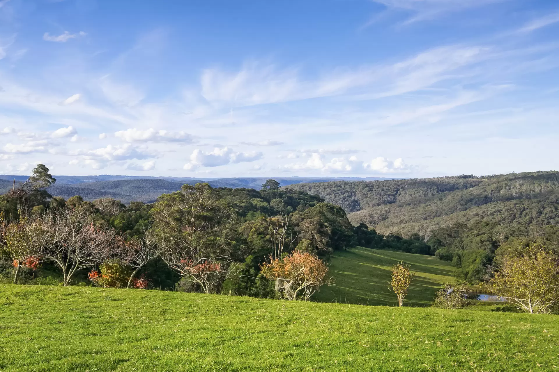1639 Caoura Road, Tallong For Sale by Sydney Sotheby's International Realty - image 1