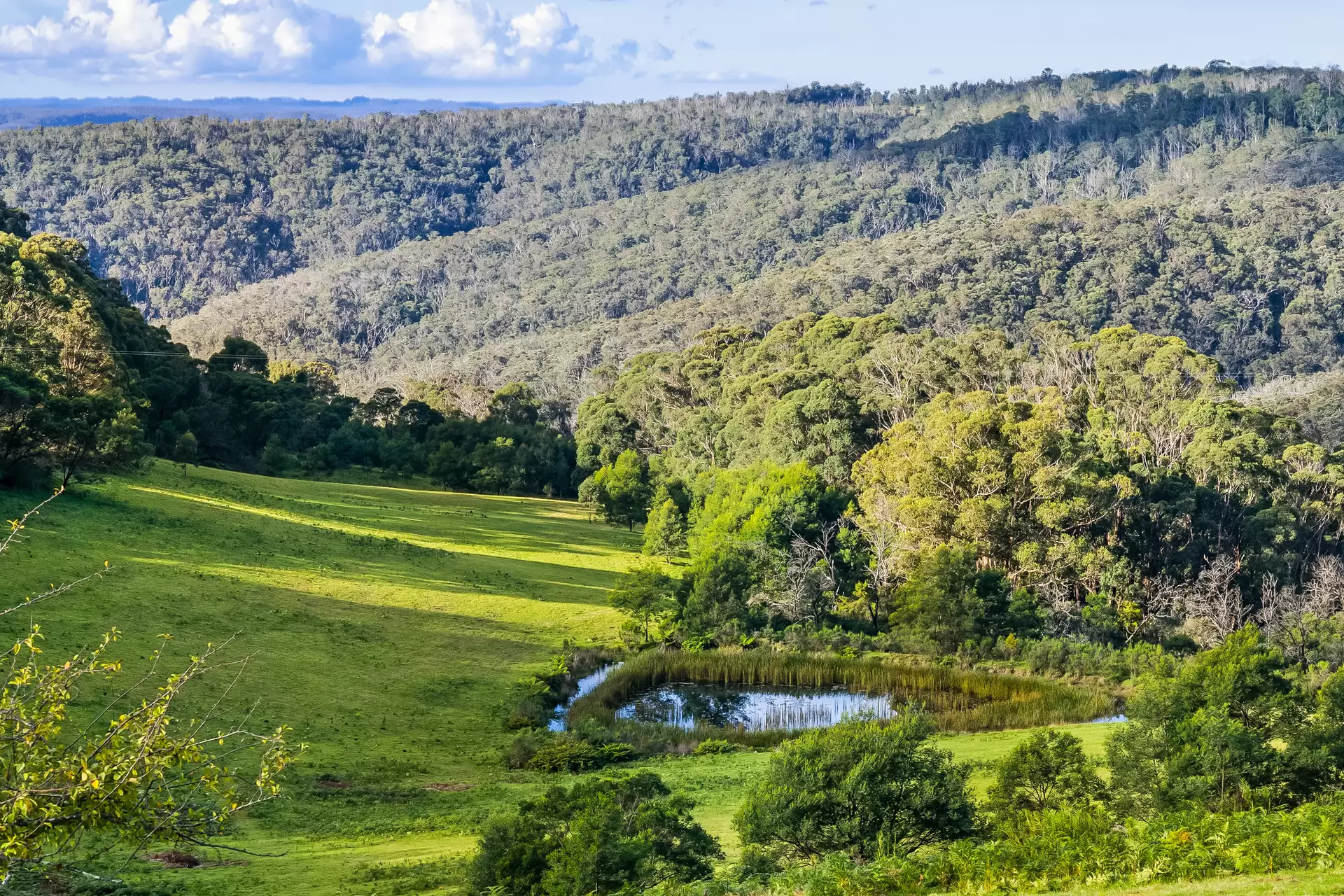 1639 Caoura Road, Tallong For Sale by Sydney Sotheby's International Realty - image 8