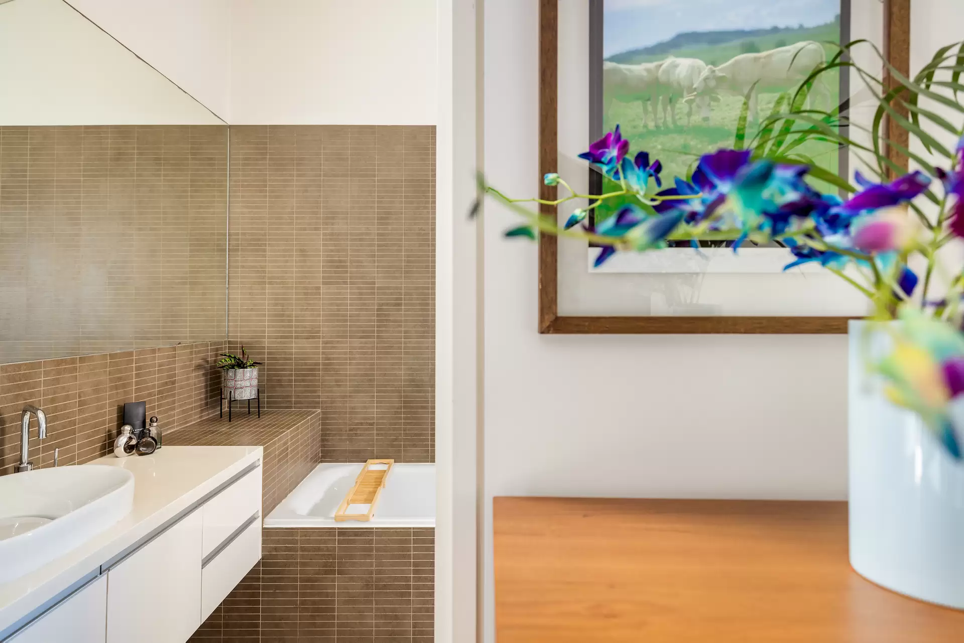 9 Harley Street, Alexandria Auction by Sydney Sotheby's International Realty - image 1