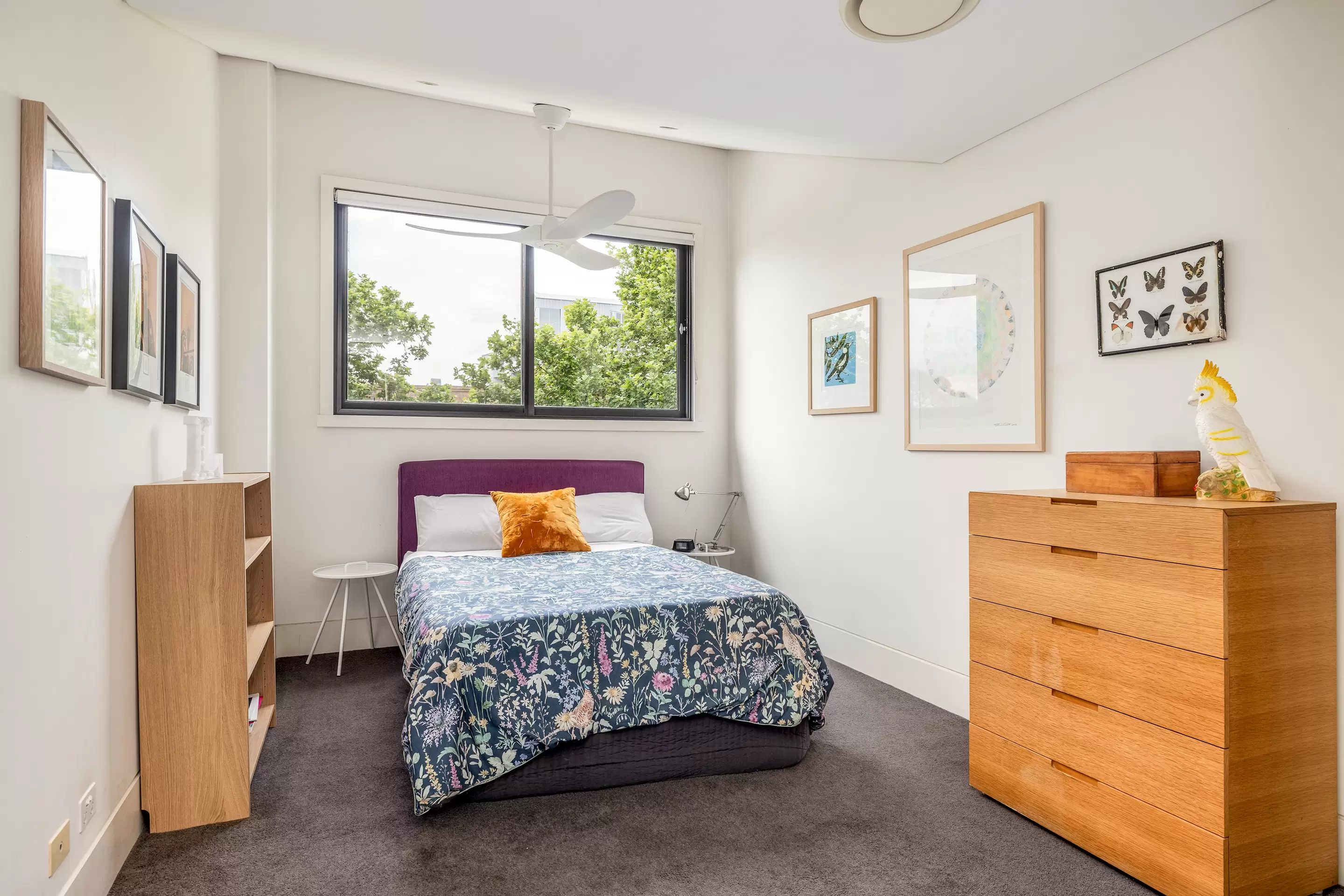 9 Harley Street, Alexandria Auction by Sydney Sotheby's International Realty - image 16