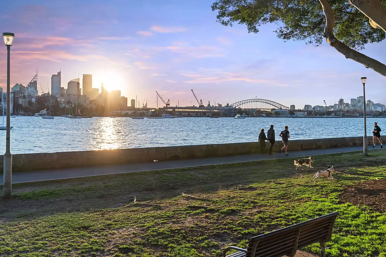 6C/3 Darling Point Road, Darling Point For Sale by Sydney Sotheby's International Realty - image 16