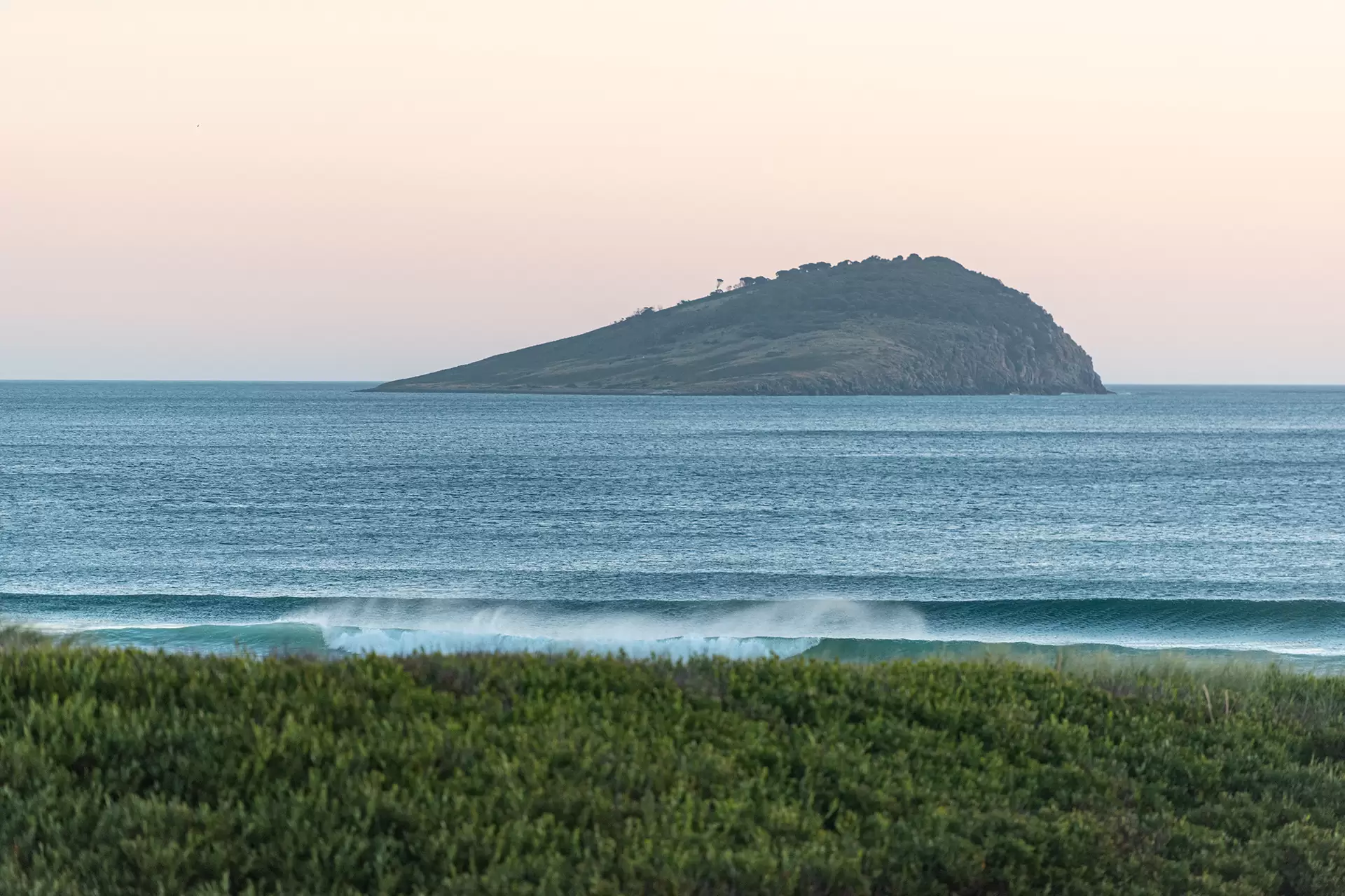 Nubeena Auction by Sydney Sotheby's International Realty - image 9