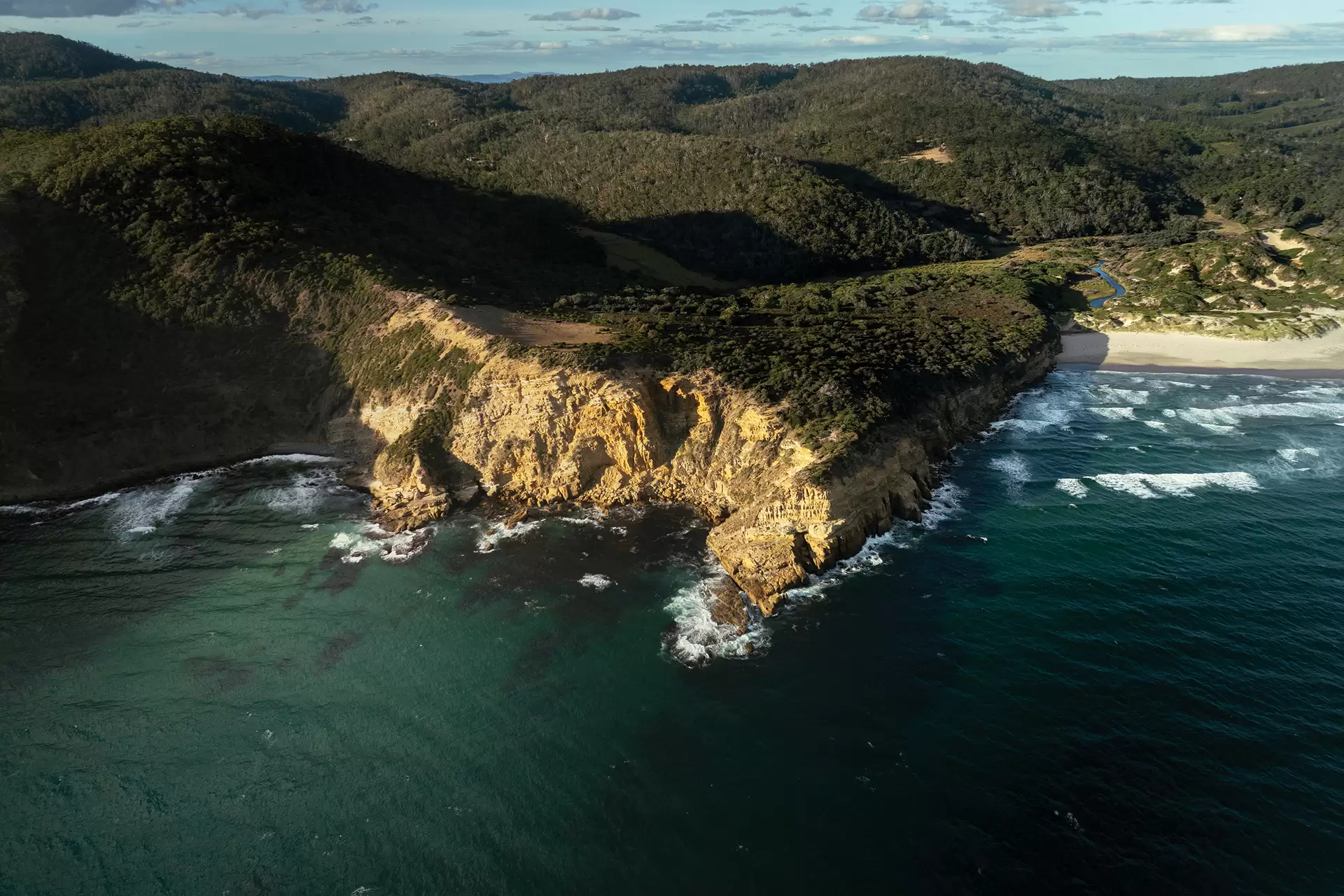 Nubeena Auction by Sydney Sotheby's International Realty - image 11