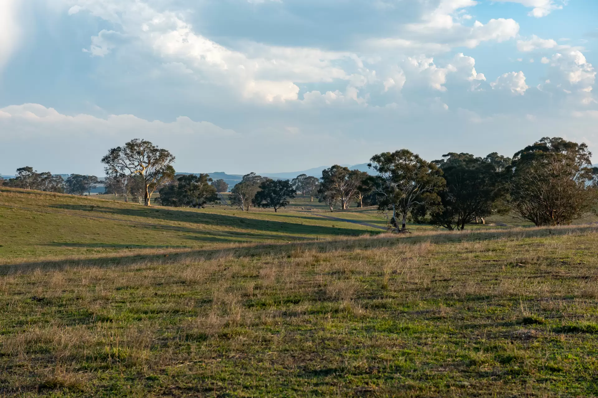 3262 Braidwood Road, Lake Bathurst Auction by Sydney Sotheby's International Realty - image 14
