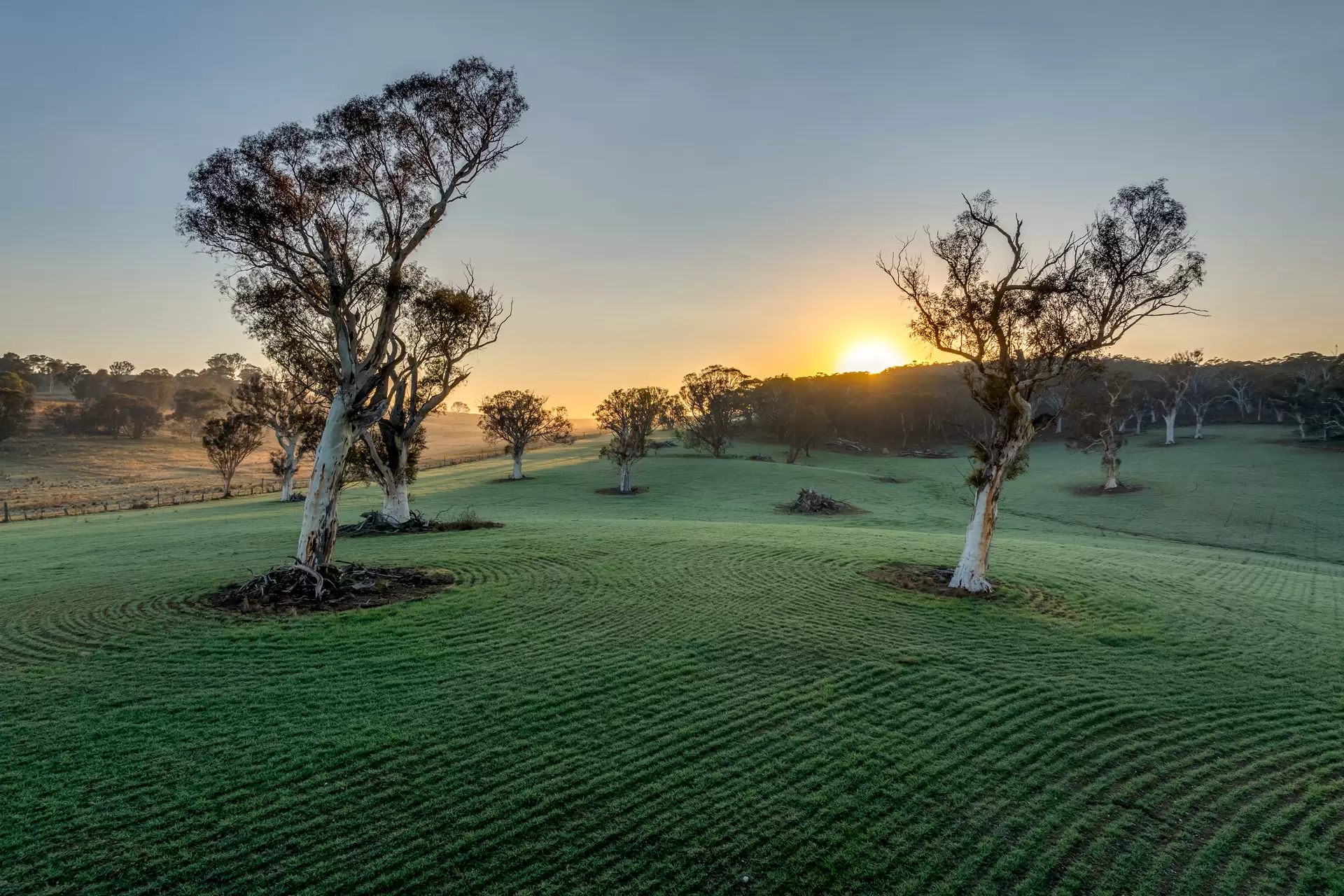 3262 Braidwood Road, Lake Bathurst Auction by Sydney Sotheby's International Realty - image 17