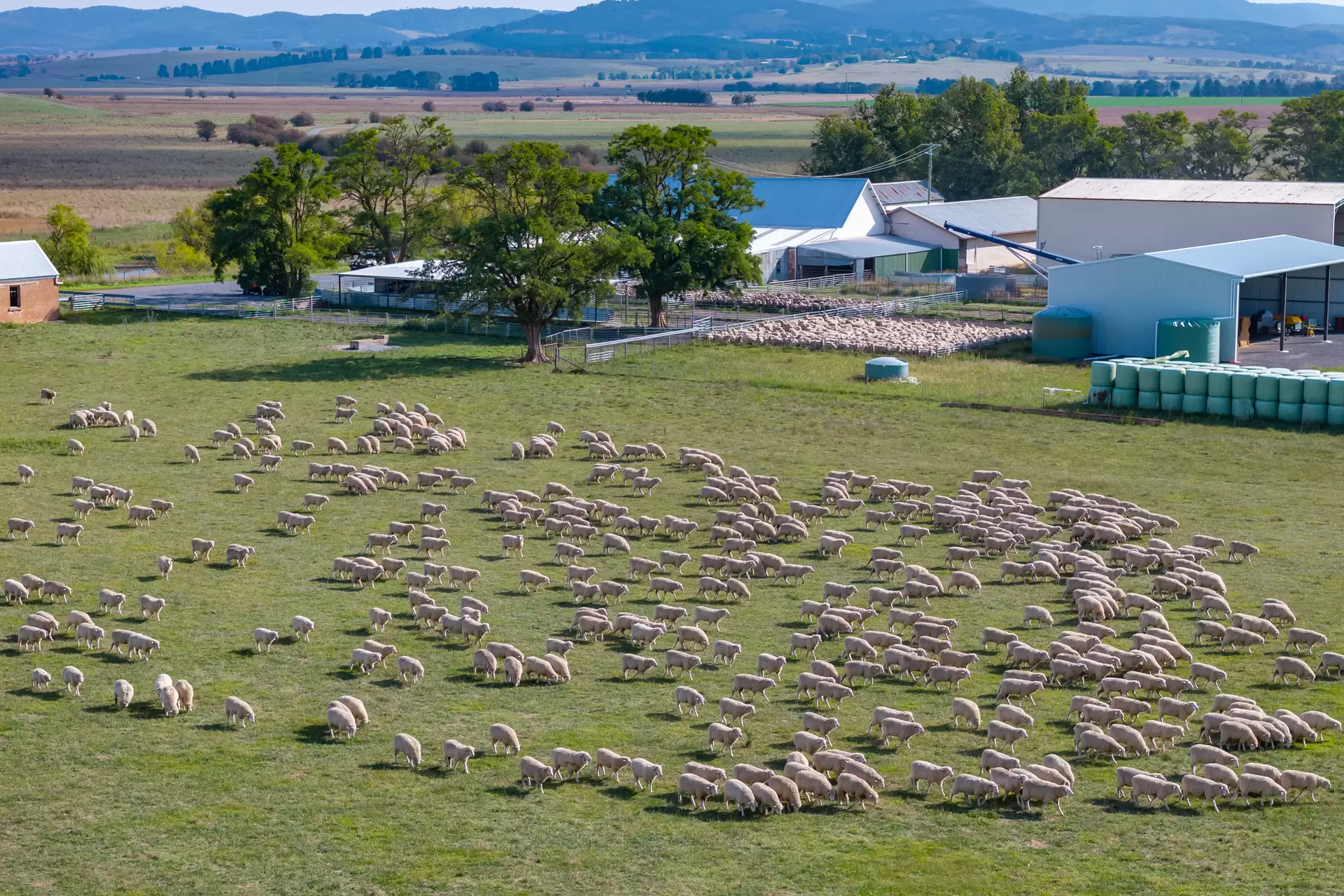 3262 Braidwood Road, Lake Bathurst Auction by Sydney Sotheby's International Realty - image 8