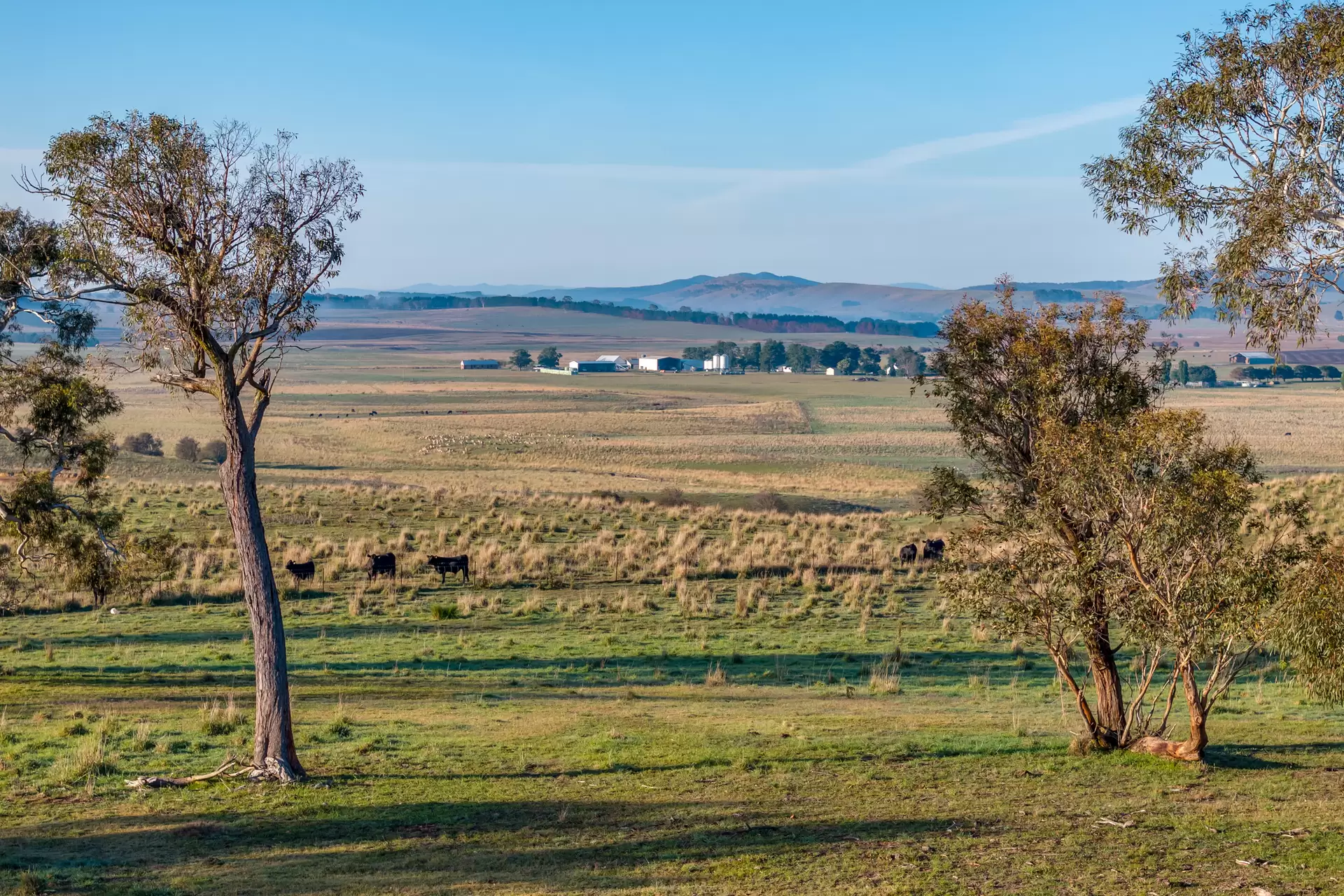 3262 Braidwood Road, Lake Bathurst Auction by Sydney Sotheby's International Realty - image 19