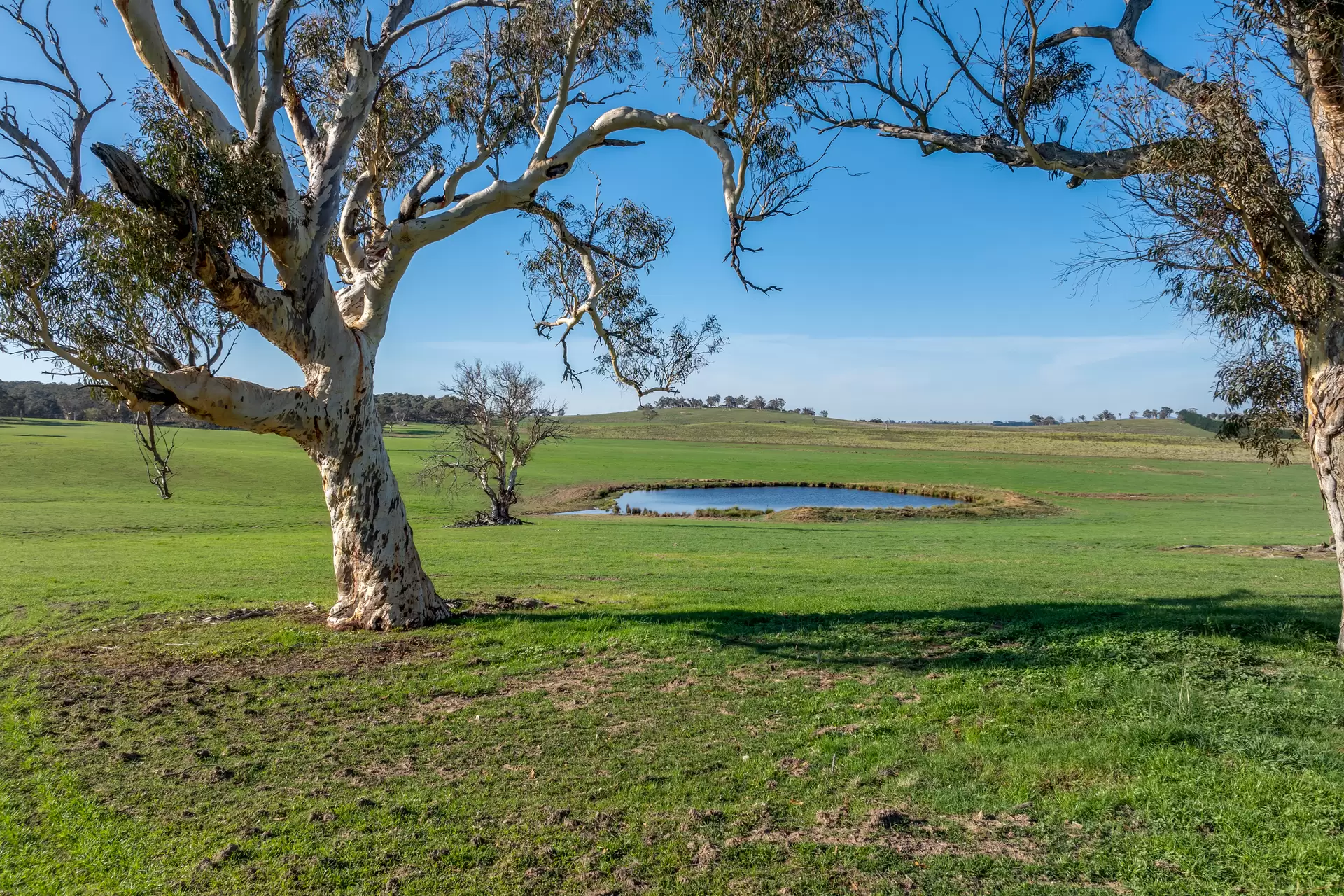 3262 Braidwood Road, Lake Bathurst Auction by Sydney Sotheby's International Realty - image 20