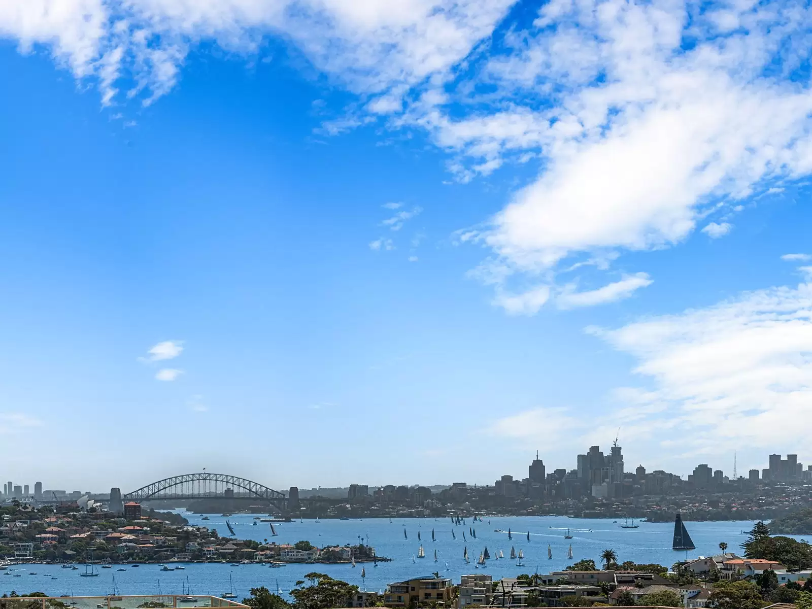 216 Military Road, Dover Heights Auction by Sydney Sotheby's International Realty - image 25