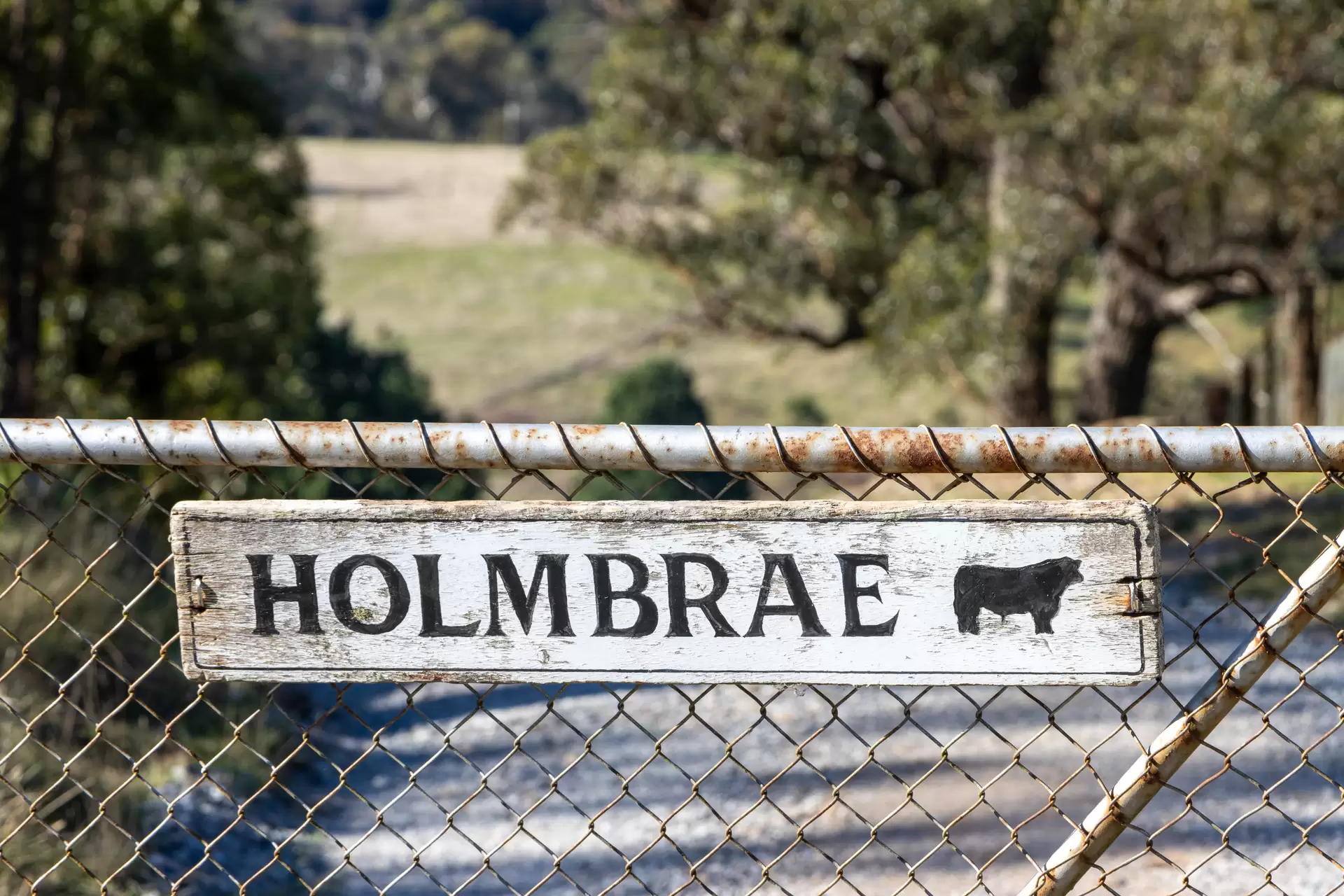 379 Newfoundland Road, Taralga For Sale by Sydney Sotheby's International Realty - image 15