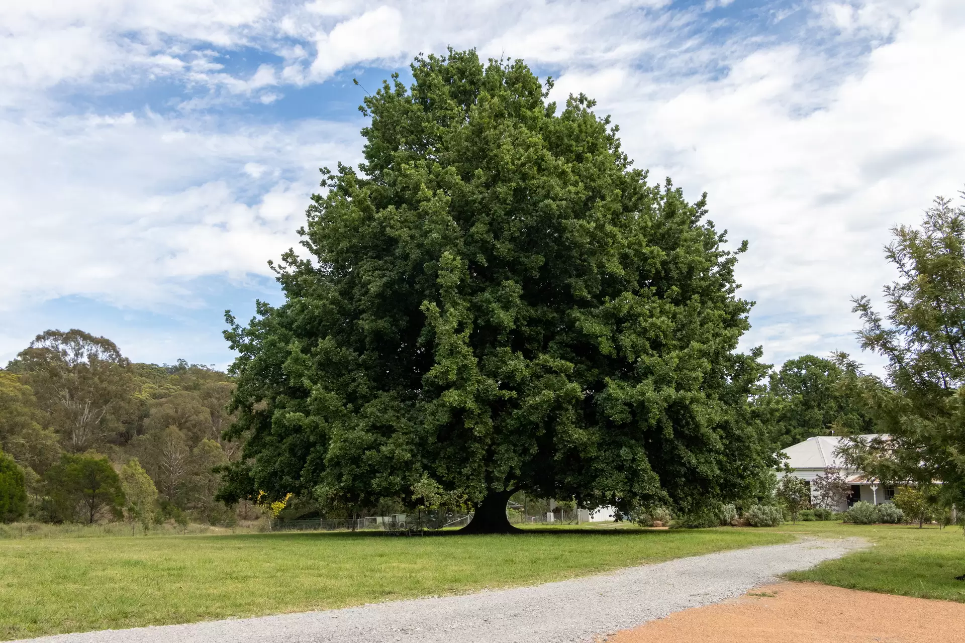 379 Newfoundland Road, Taralga For Sale by Sydney Sotheby's International Realty - image 2