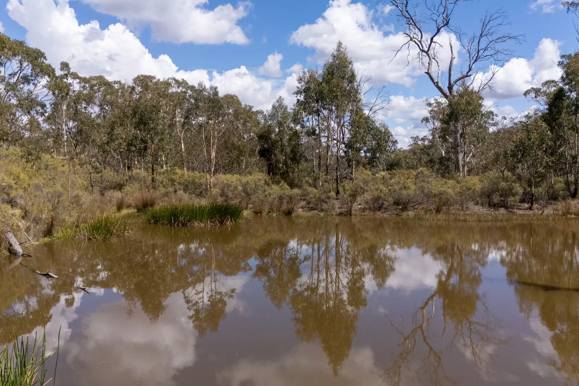 140 Greenridge Road, Taralga For Sale by Sydney Sotheby's International Realty - image 5