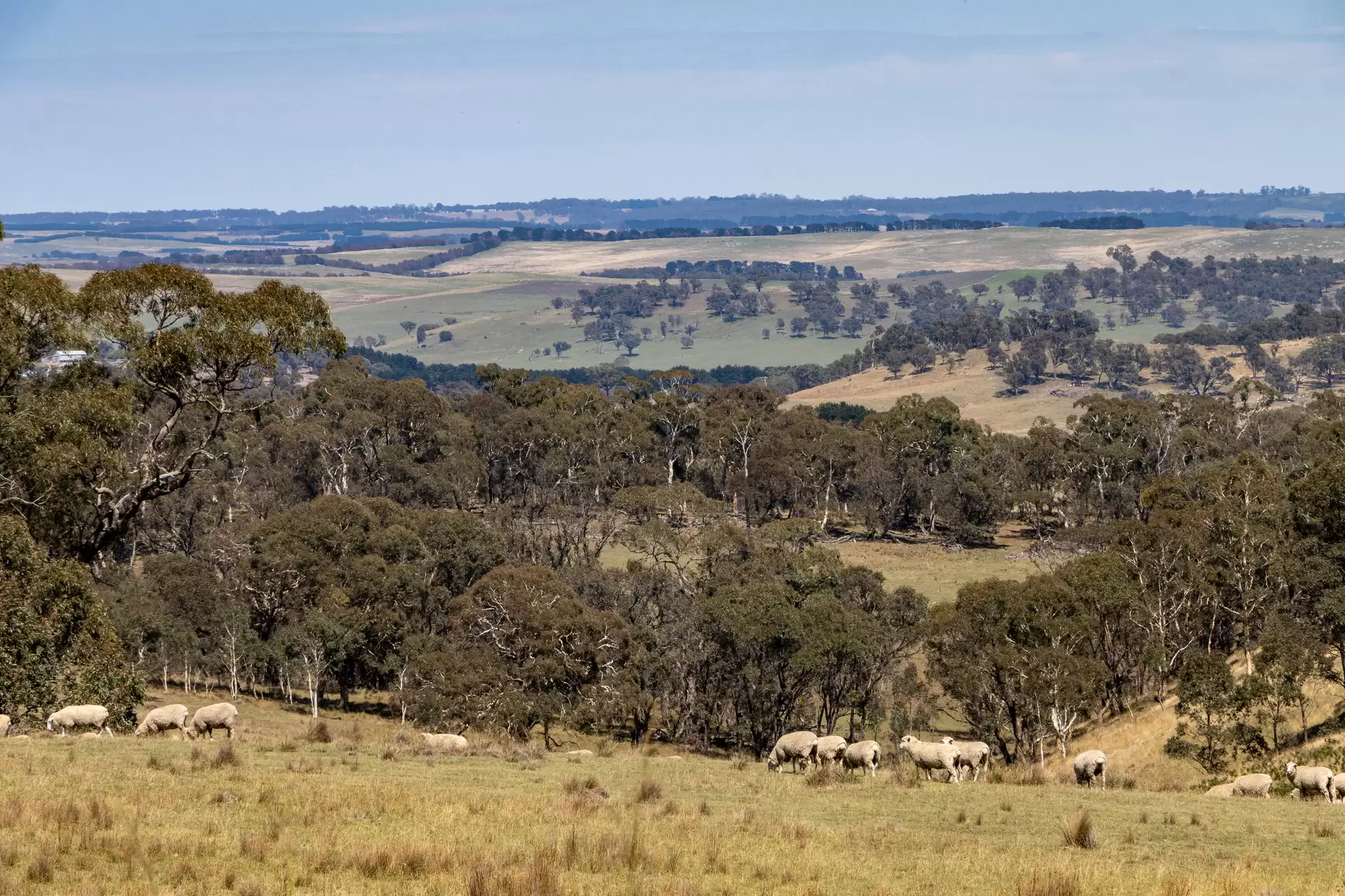 1169 Golspie Road, Taralga For Sale by Sydney Sotheby's International Realty - image 3