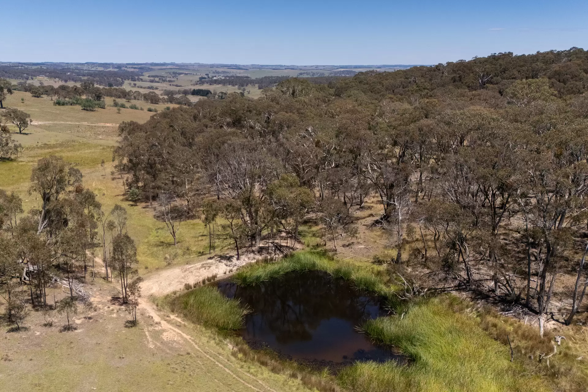 1169 Golspie Road, Taralga For Sale by Sydney Sotheby's International Realty - image 6