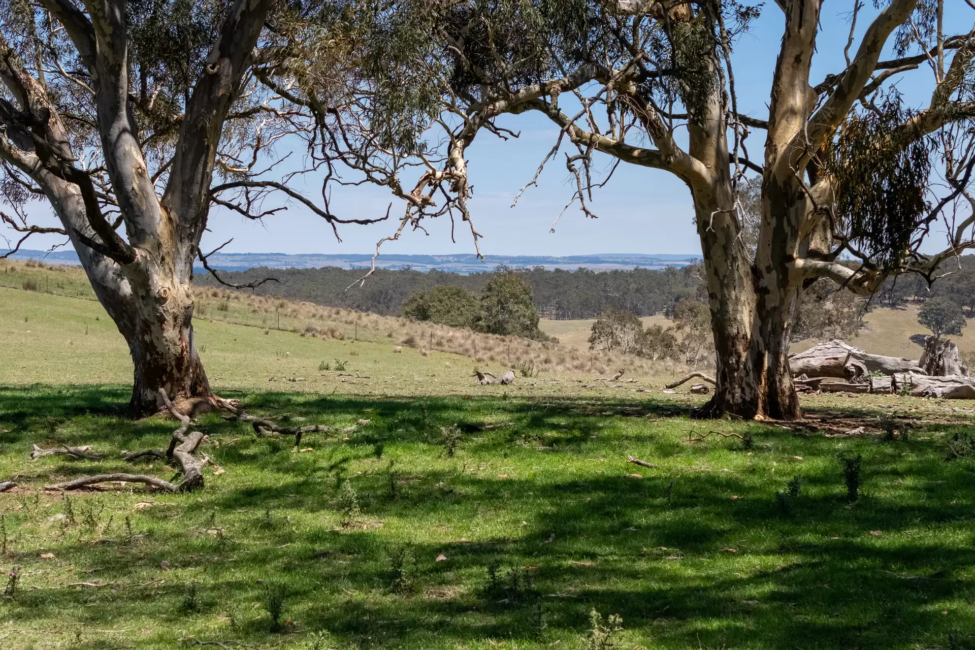 1169 Golspie Road, Taralga For Sale by Sydney Sotheby's International Realty - image 4
