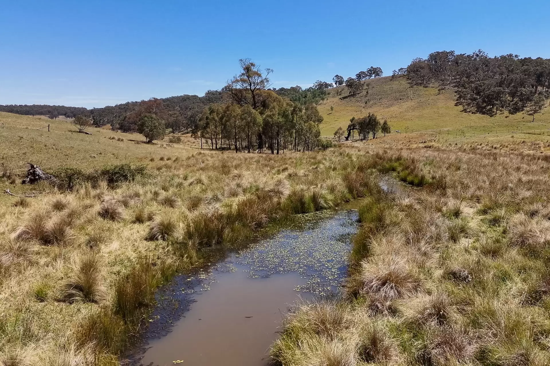 1169 Golspie Road, Taralga For Sale by Sydney Sotheby's International Realty - image 10