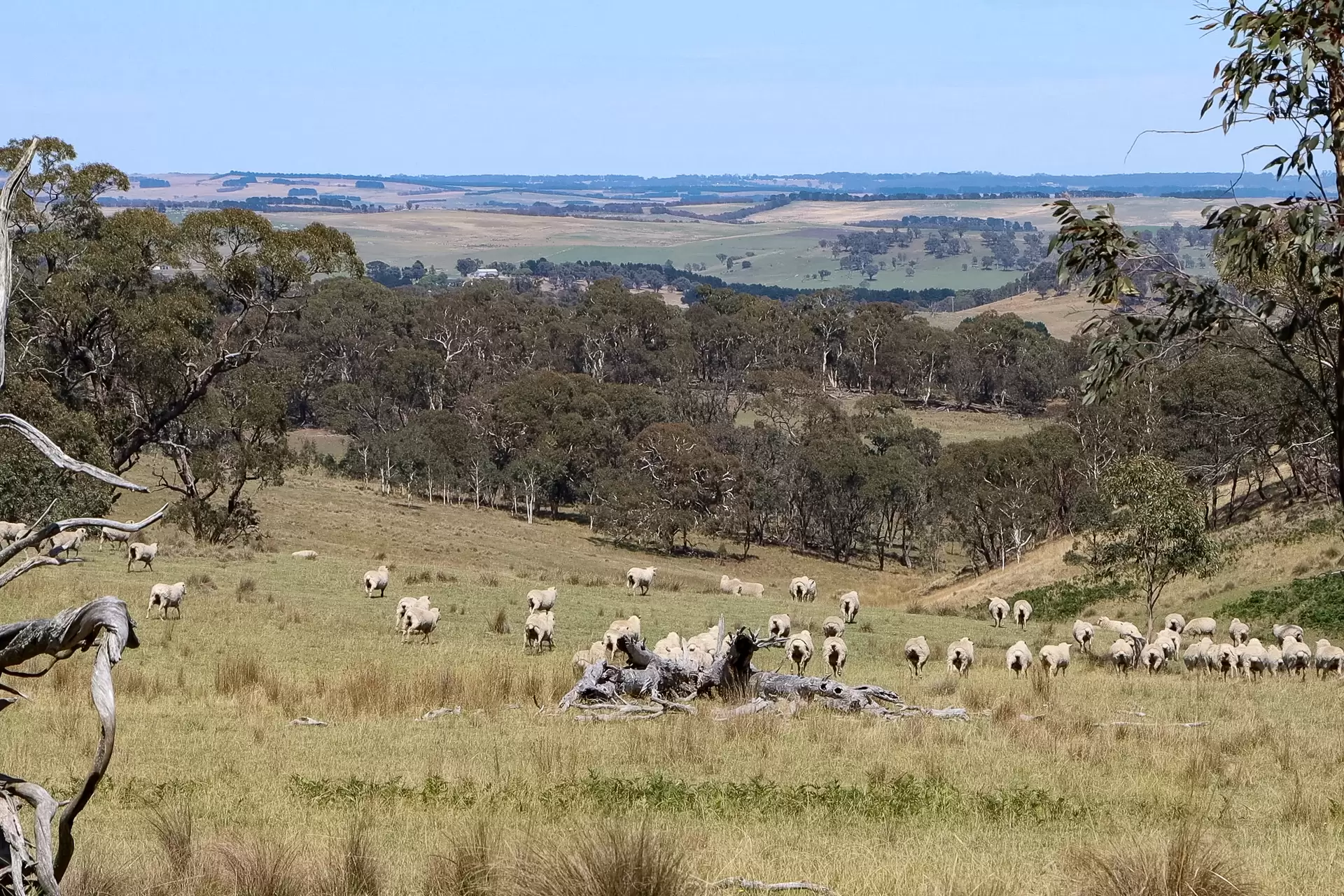 1169 Golspie Road, Taralga For Sale by Sydney Sotheby's International Realty - image 9
