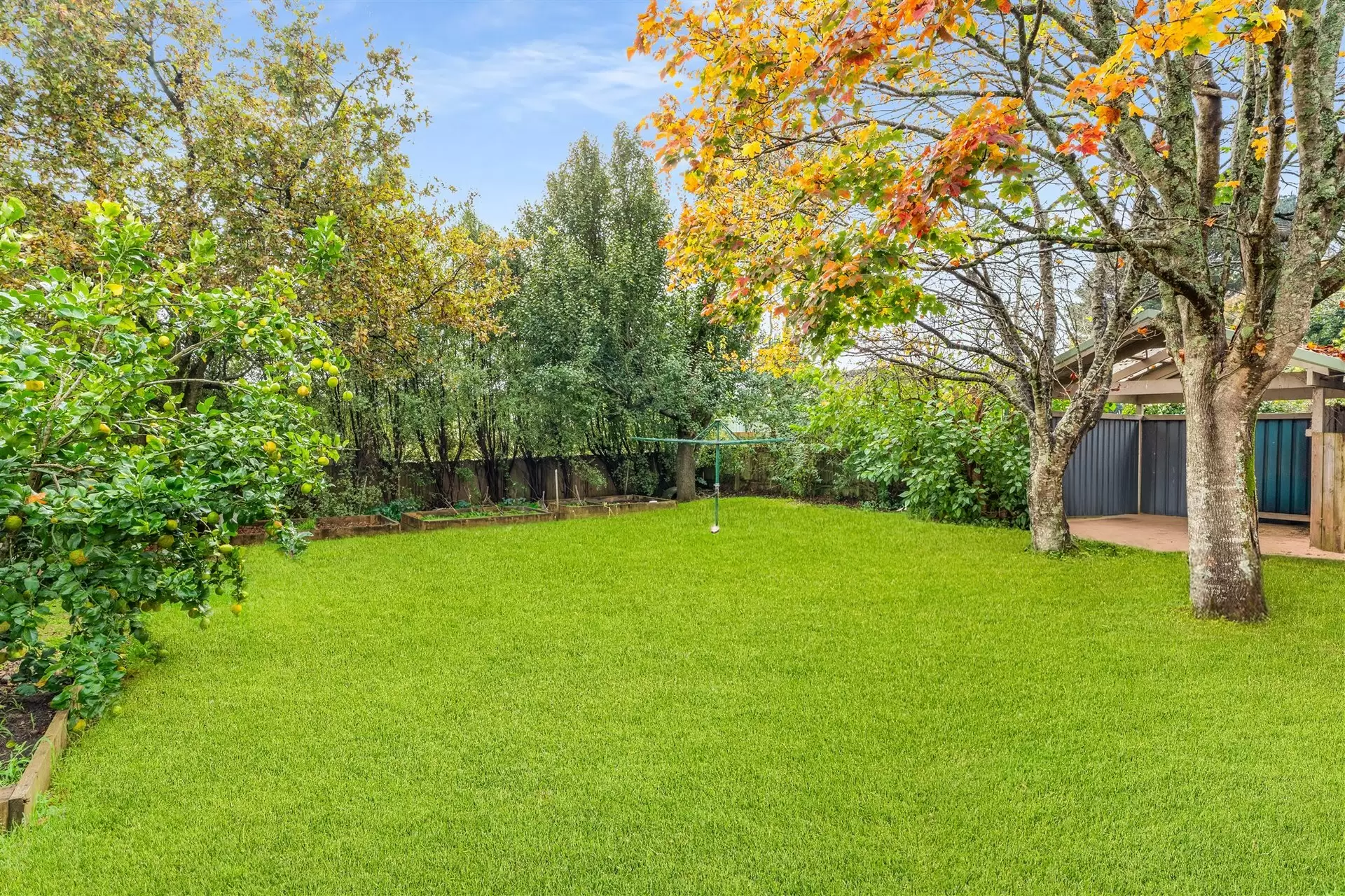 12 Swan Street, Robertson For Sale by Sydney Sotheby's International Realty - image 15