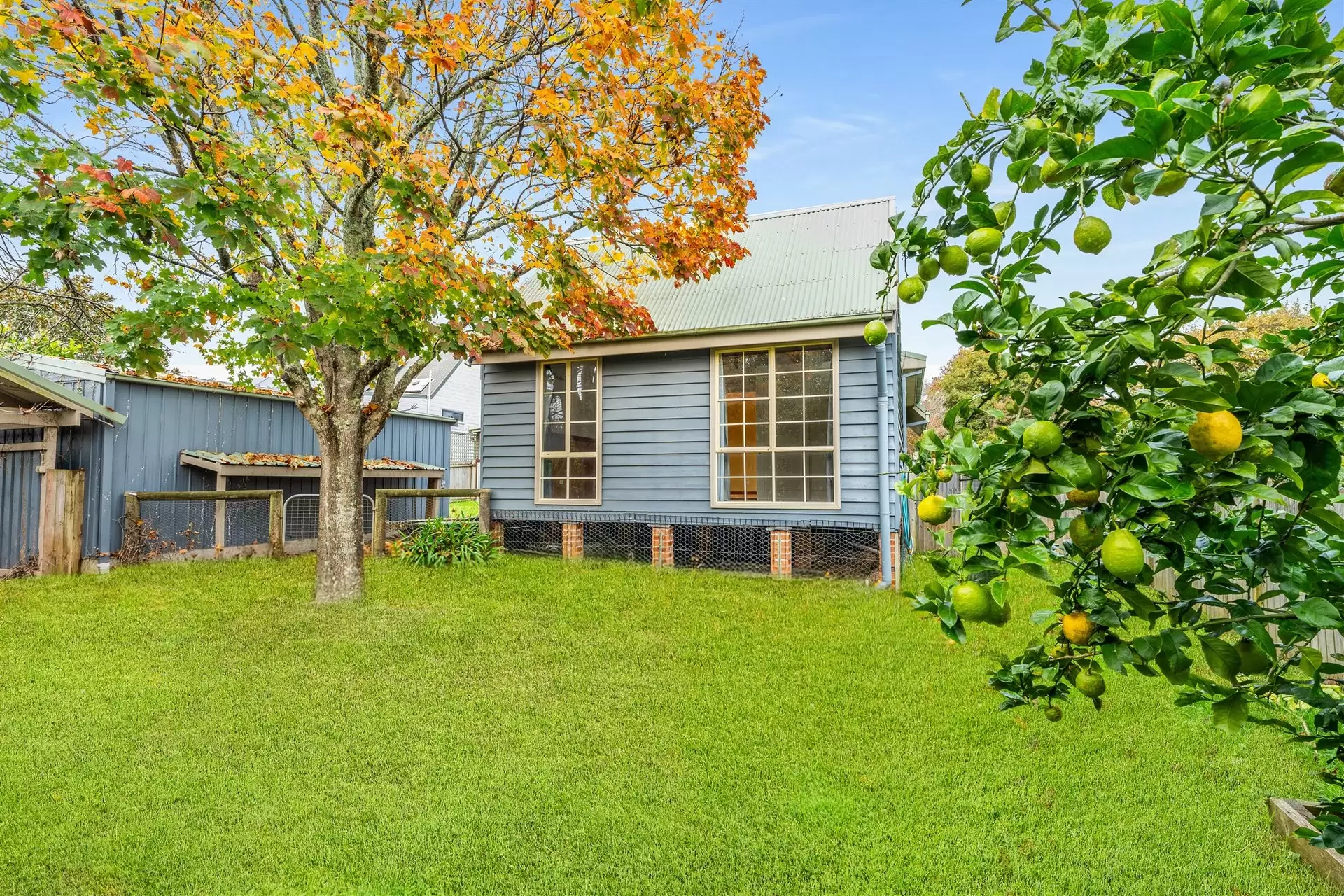 12 Swan Street, Robertson For Sale by Sydney Sotheby's International Realty - image 16