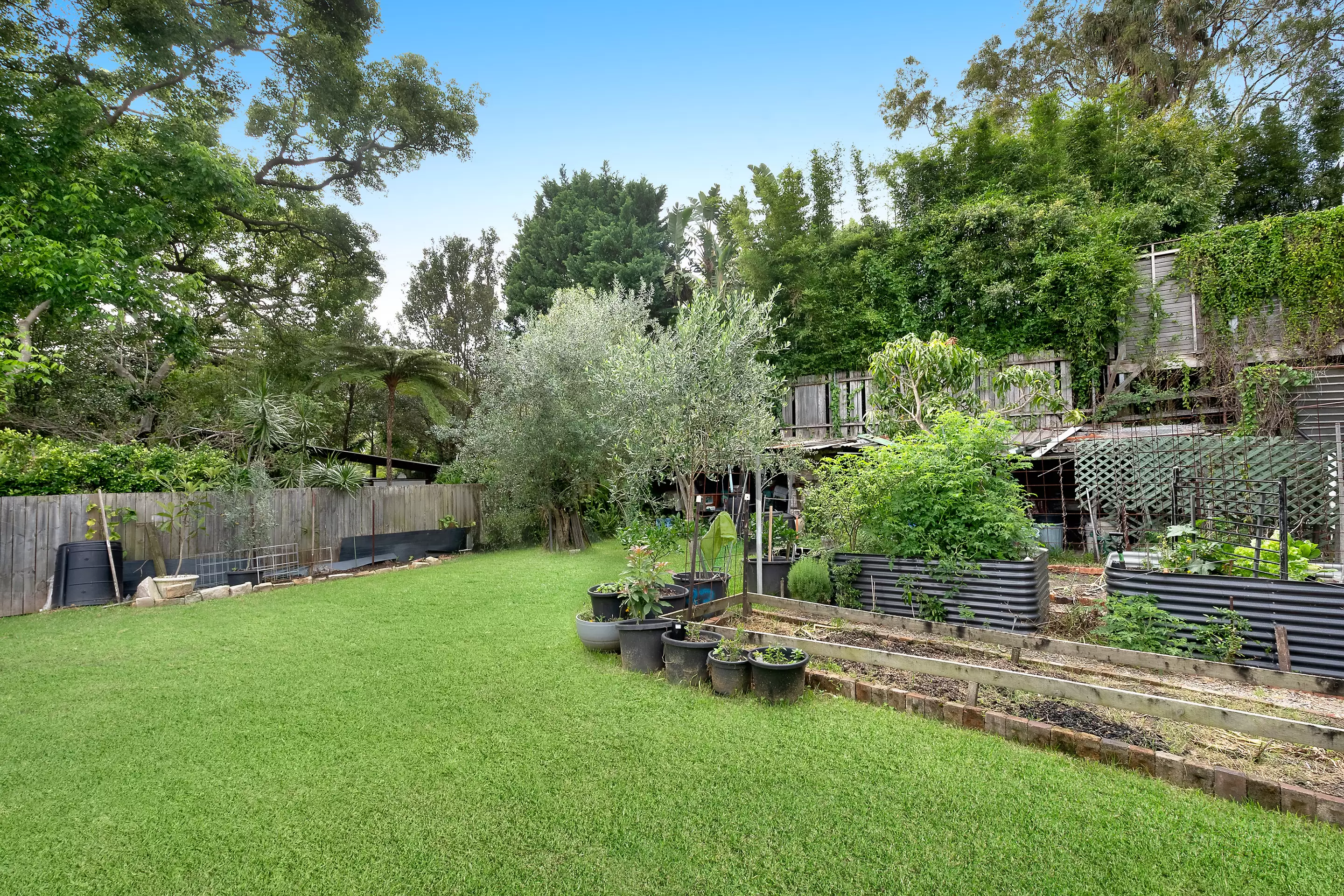 25 Murray Street, Bronte For Sale by Sydney Sotheby's International Realty - image 5