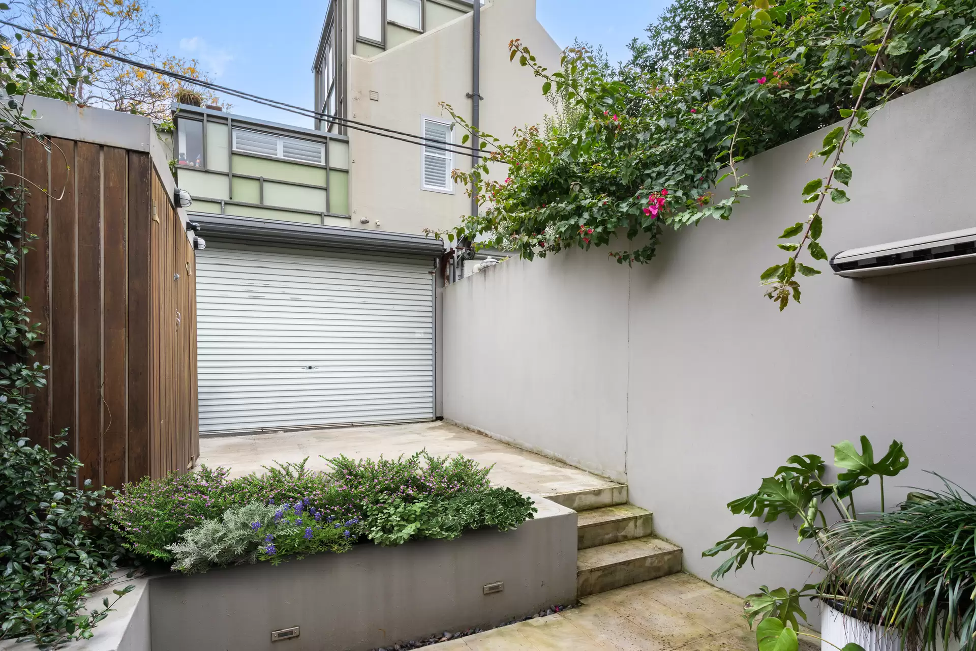 445 Crown Street, Surry Hills Auction by Sydney Sotheby's International Realty - image 1