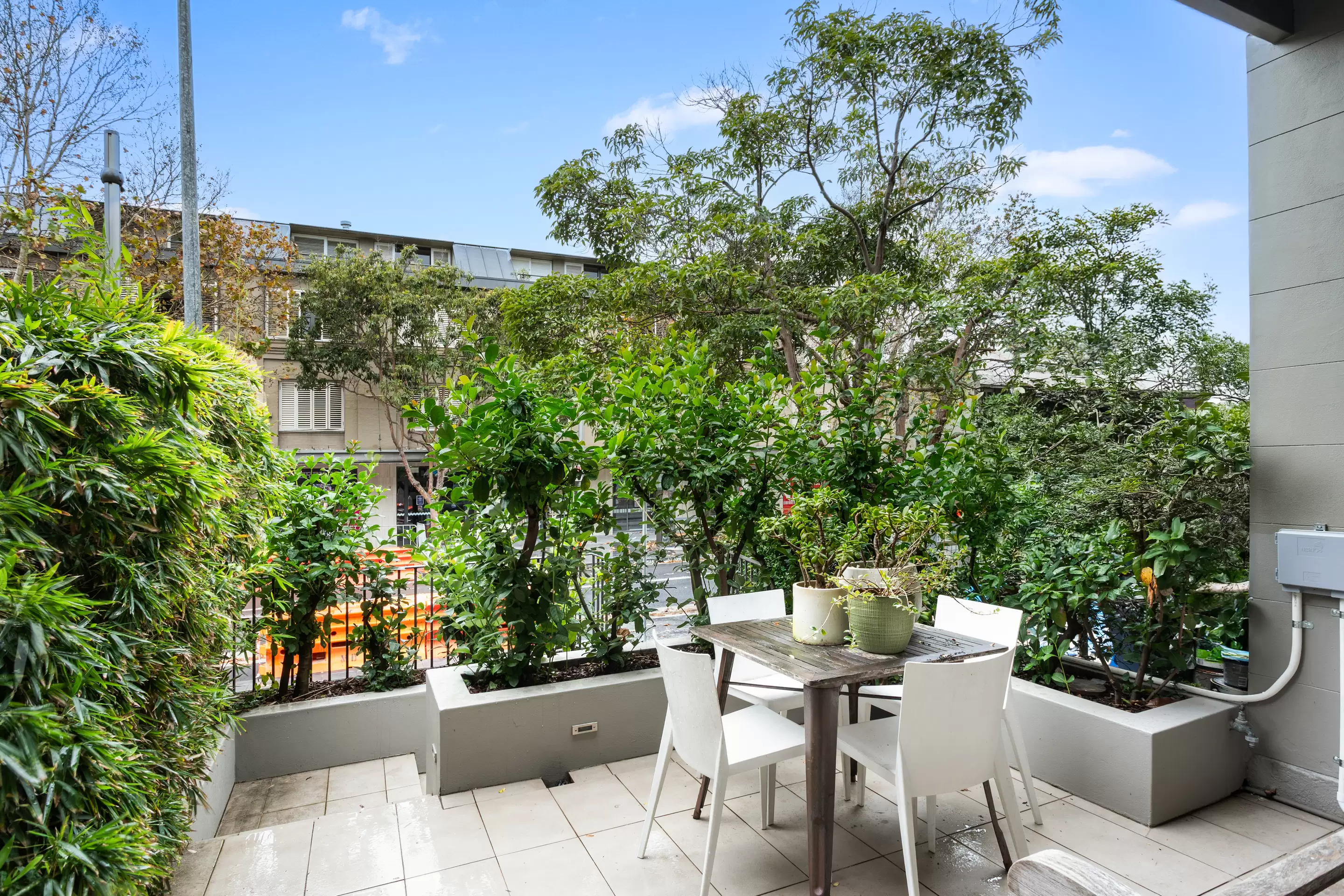 445 Crown Street, Surry Hills Auction by Sydney Sotheby's International Realty - image 21