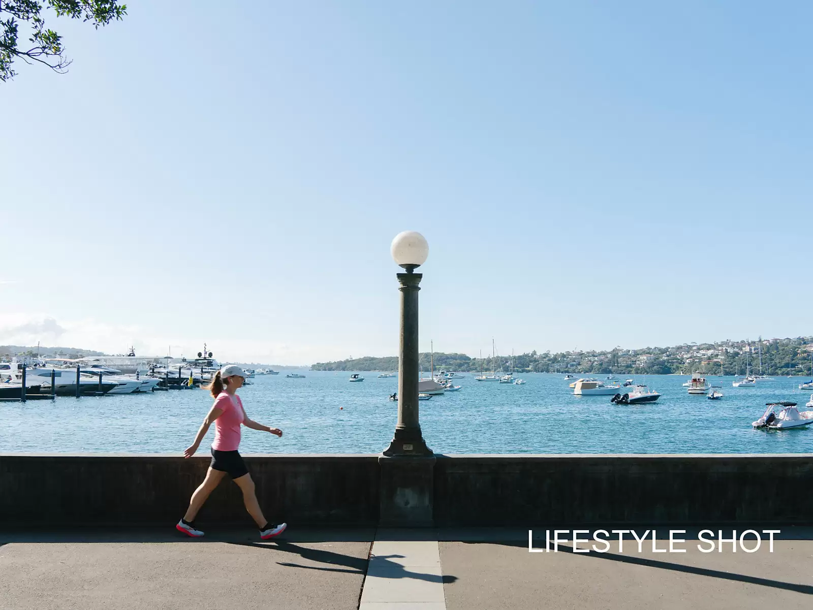 595 New South Head Road, Rose Bay Auction by Sydney Sotheby's International Realty - image 19