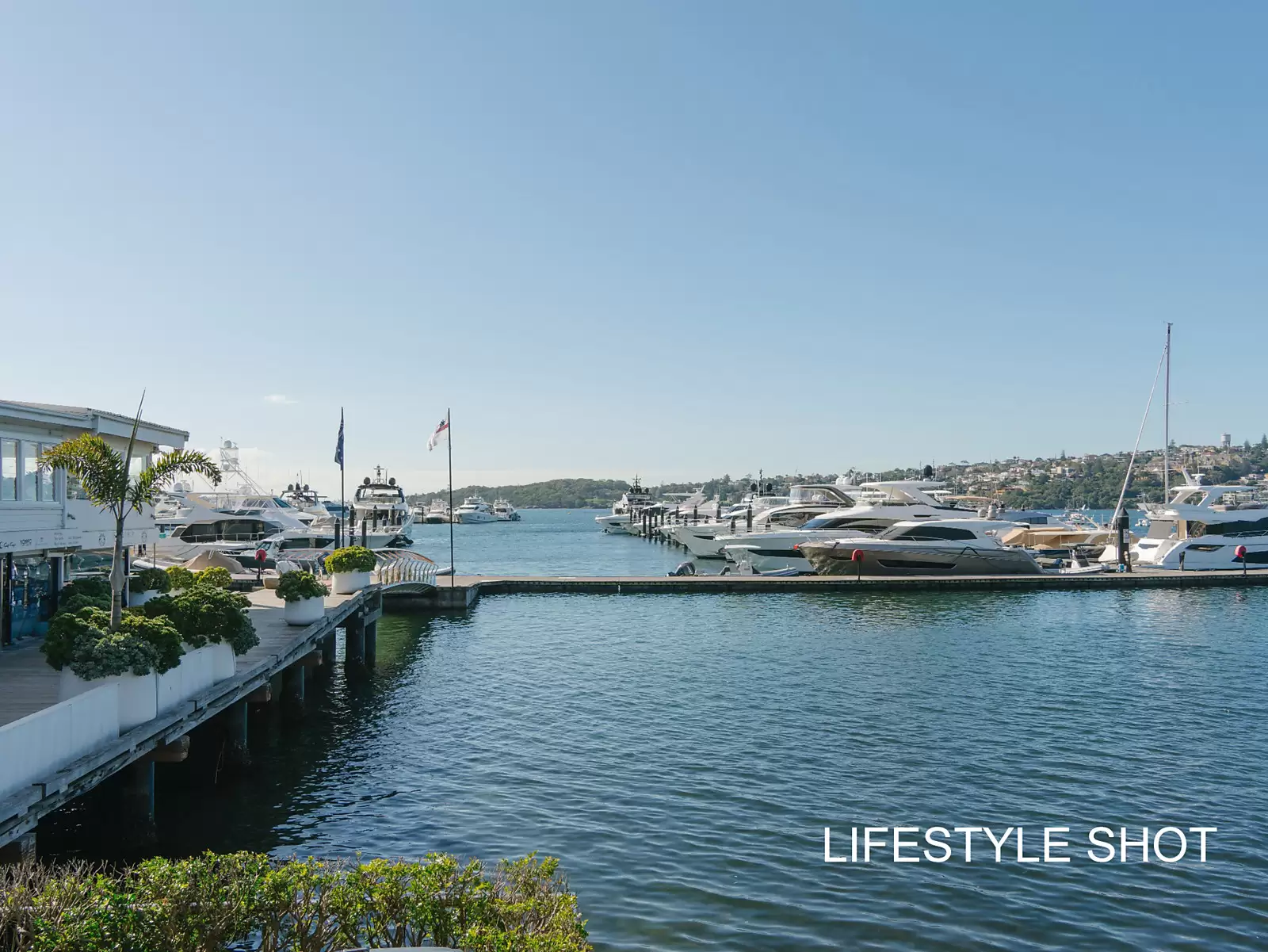 595 New South Head Road, Rose Bay Auction by Sydney Sotheby's International Realty - image 21
