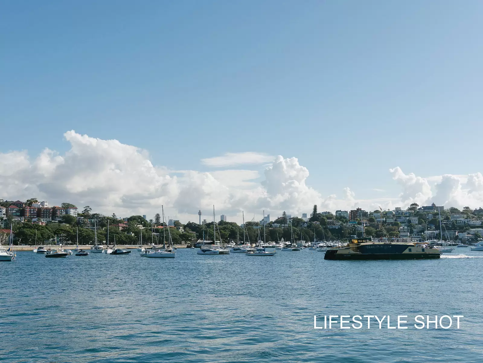 595 New South Head Road, Rose Bay Auction by Sydney Sotheby's International Realty - image 22