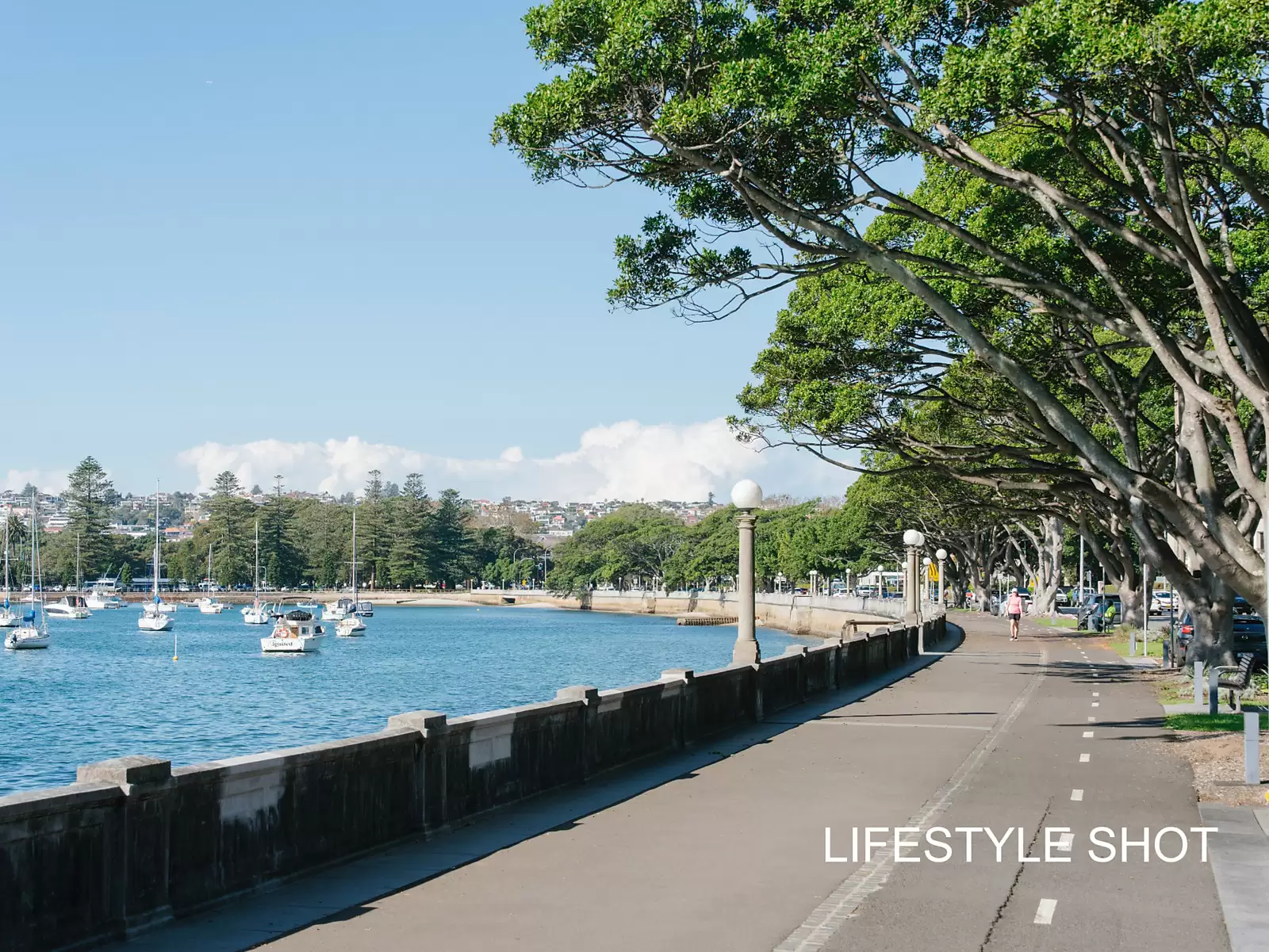 595 New South Head Road, Rose Bay Auction by Sydney Sotheby's International Realty - image 18