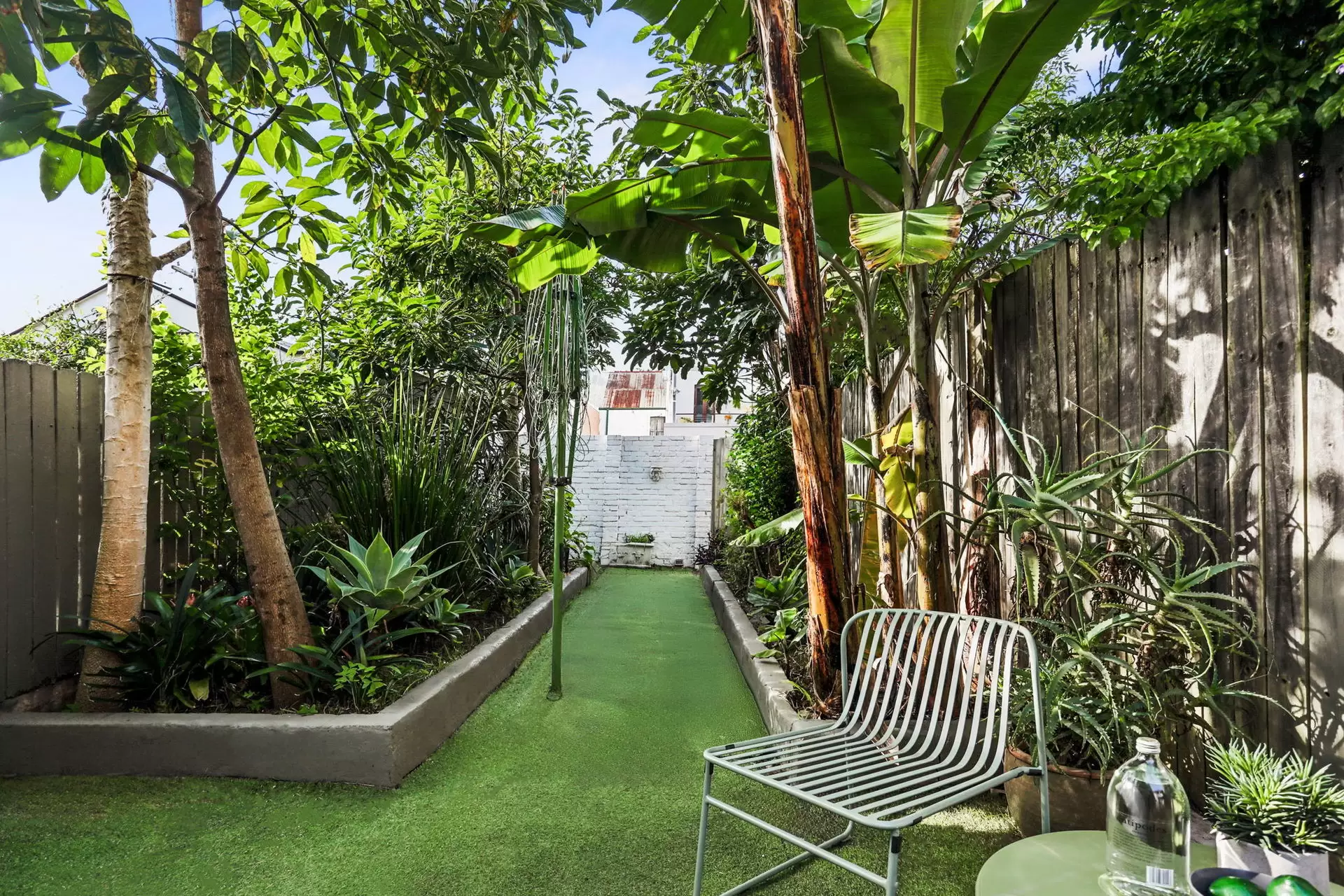156 Windsor Street, Paddington Auction by Sydney Sotheby's International Realty - image 4