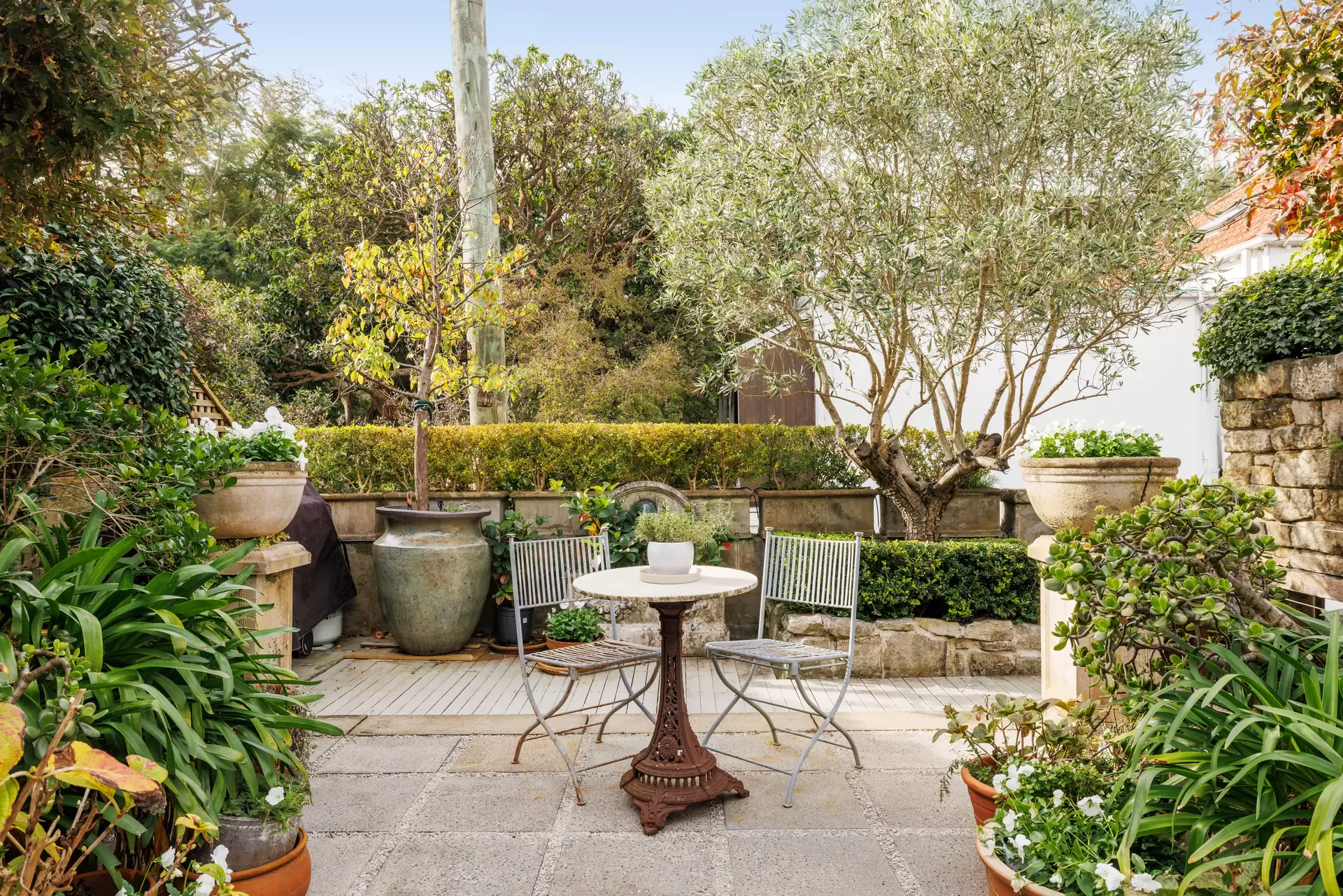 110 Sutherland Street, Paddington Auction by Sydney Sotheby's International Realty - image 1