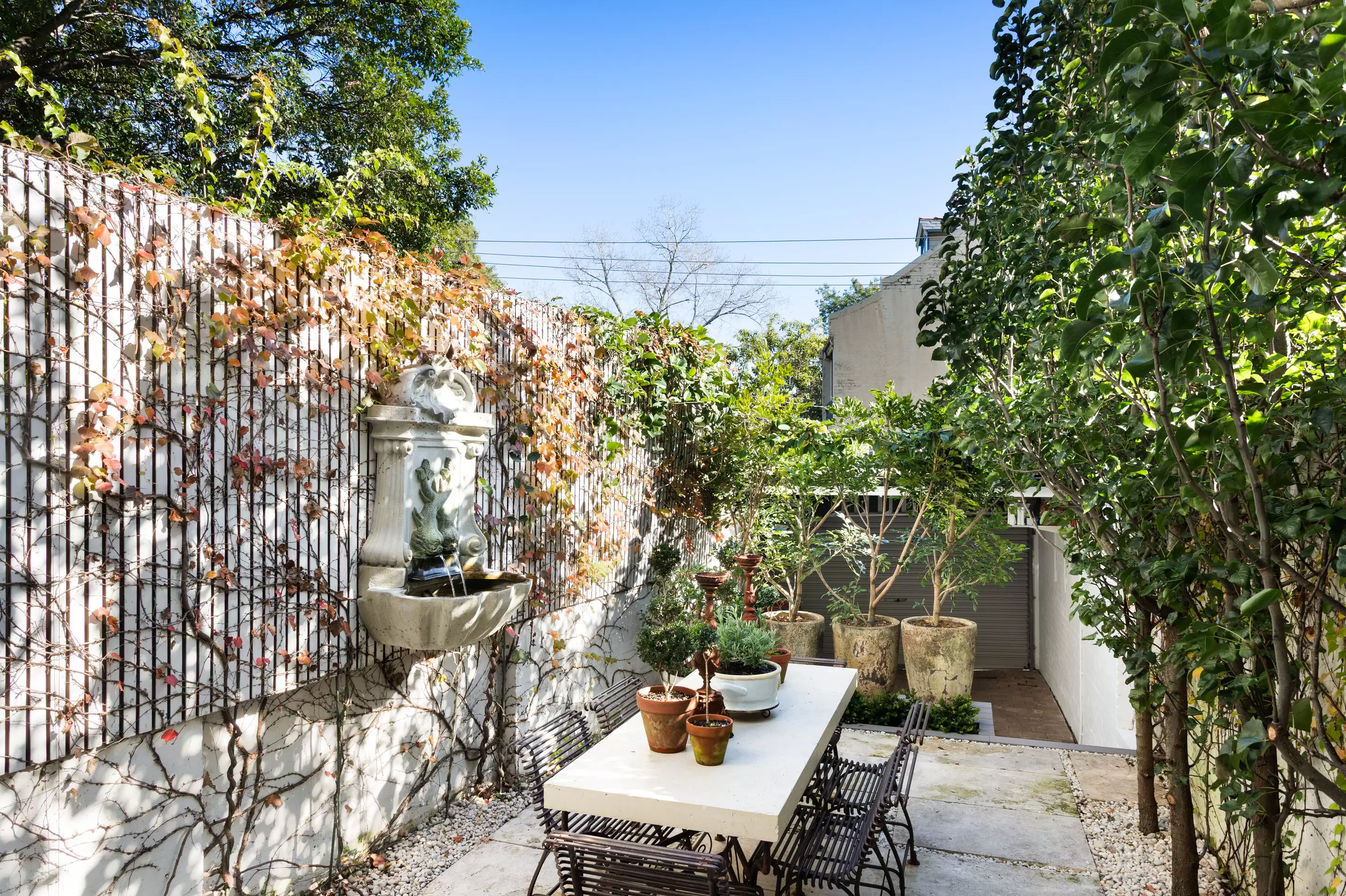 53 Regent Street, Paddington Auction by Sydney Sotheby's International Realty - image 13