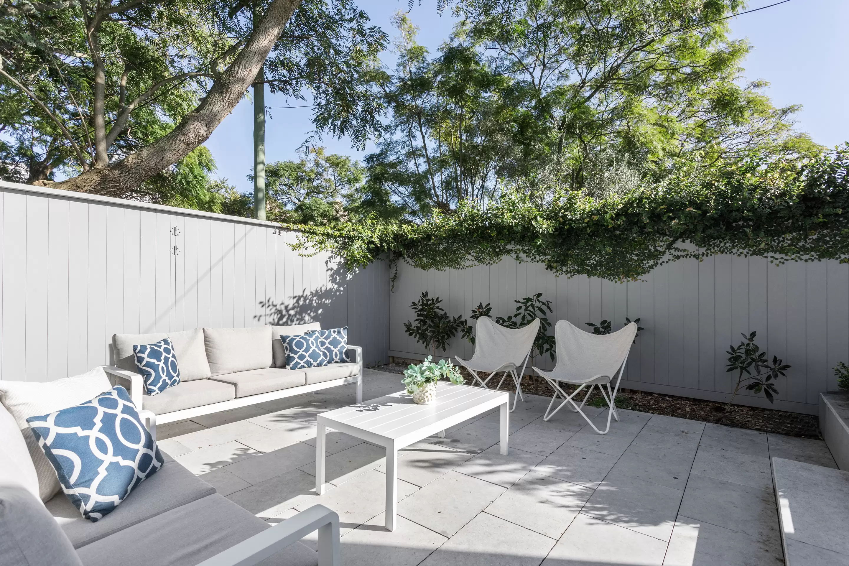 15 View Street, Woollahra Auction by Sydney Sotheby's International Realty - image 5