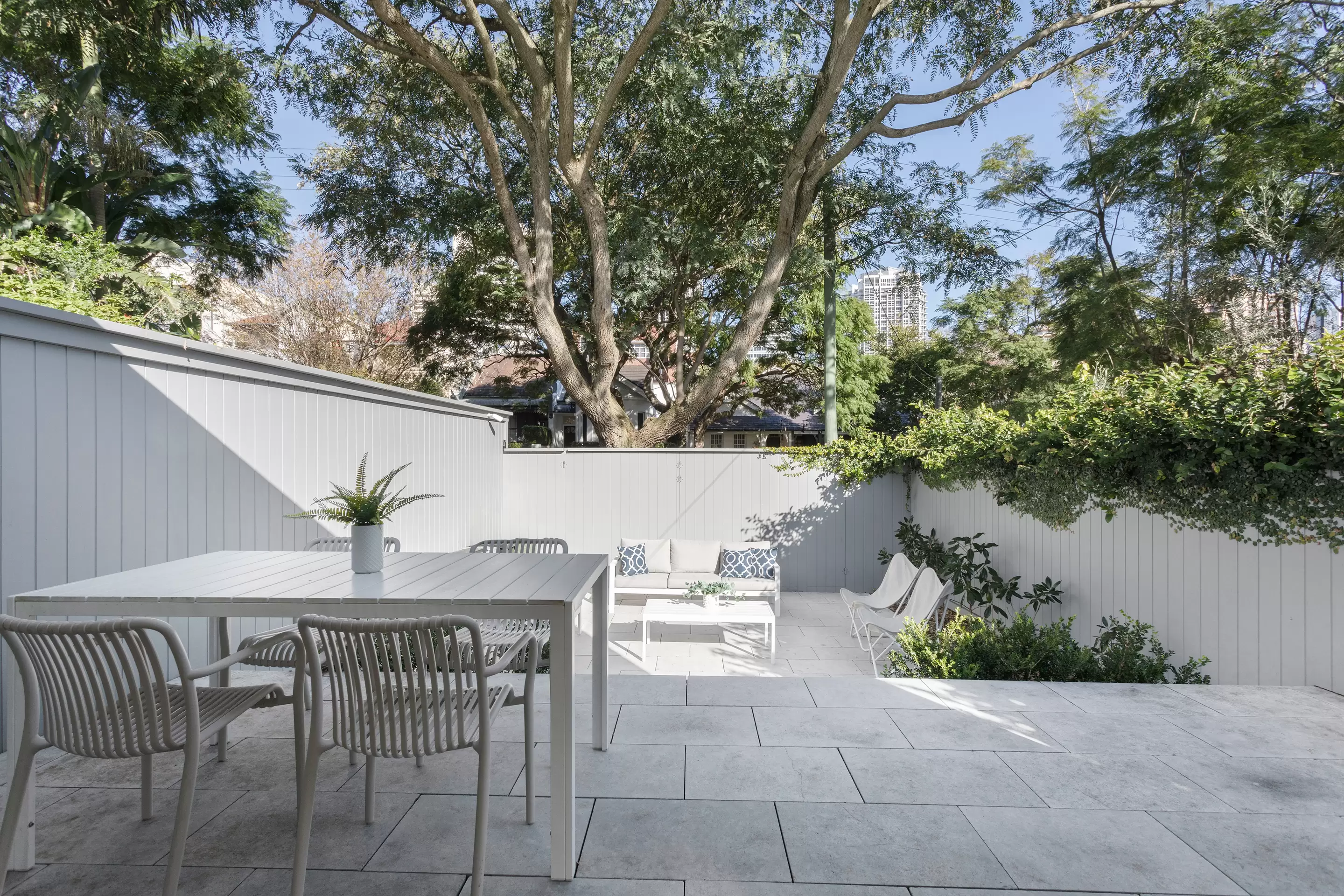 15 View Street, Woollahra Auction by Sydney Sotheby's International Realty - image 4