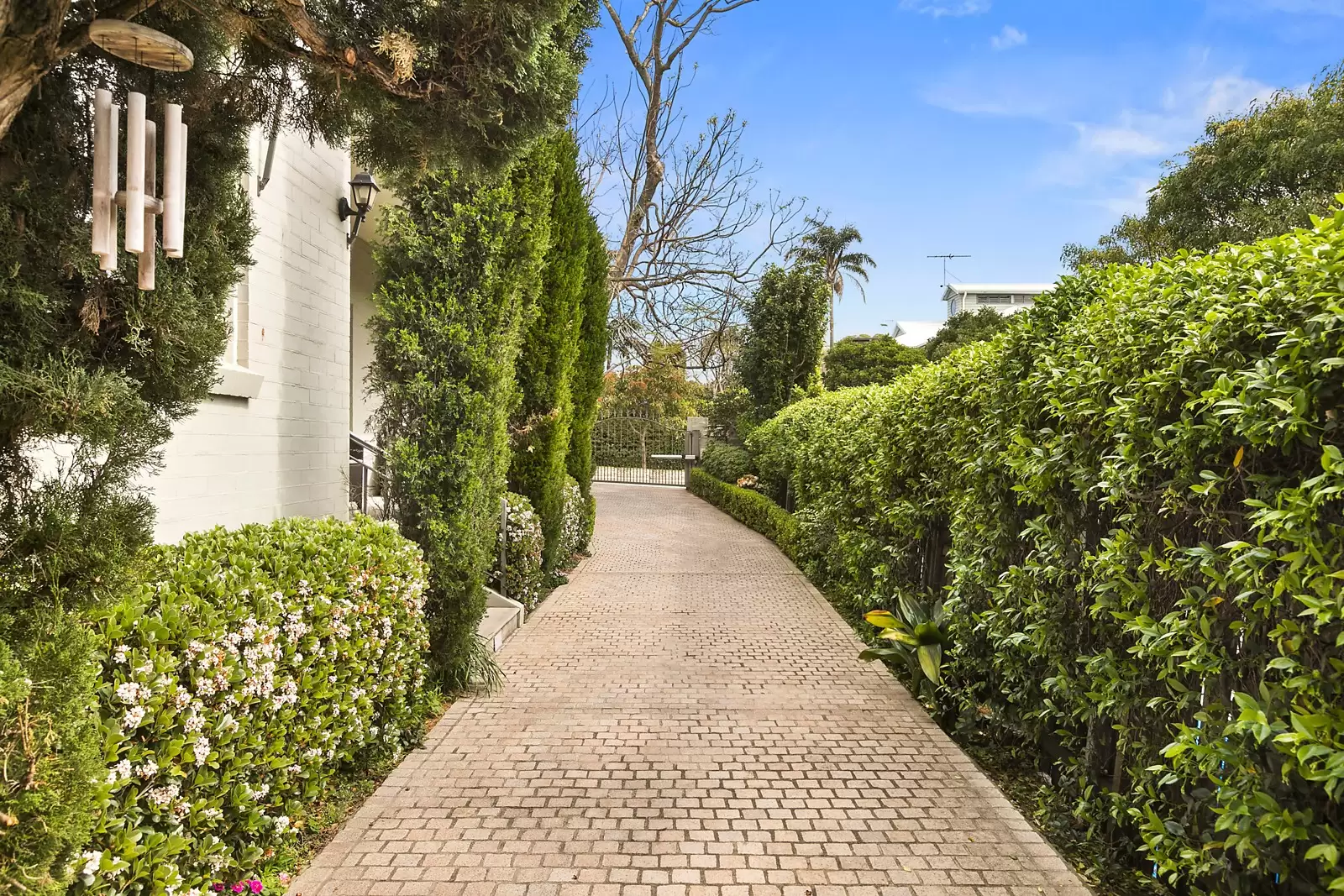 5 Caledonian Road, Rose Bay Sold by Sydney Sotheby's International Realty - image 9