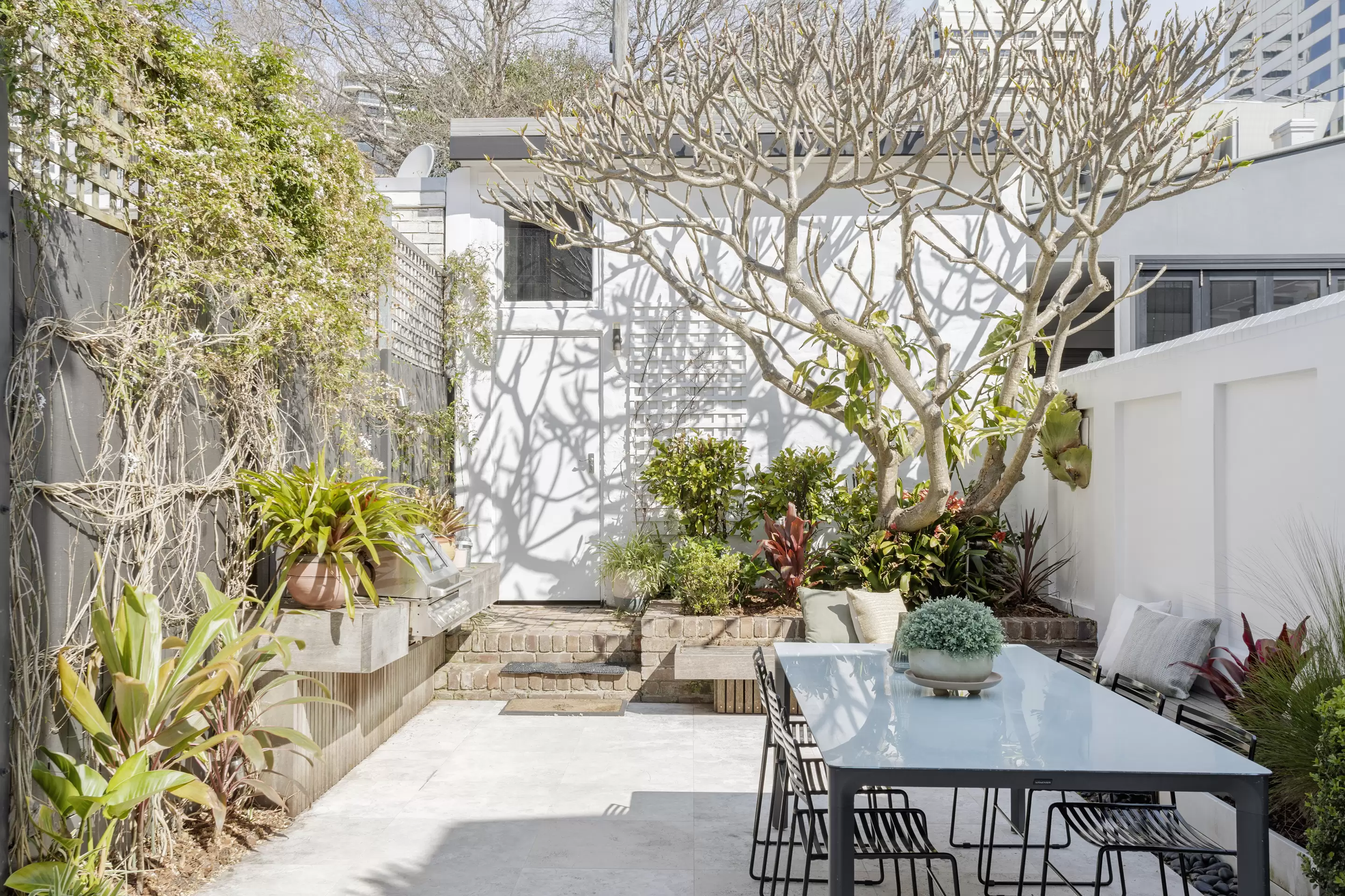 110 Edgecliff Road, Woollahra Sold by Sydney Sotheby's International Realty - image 4